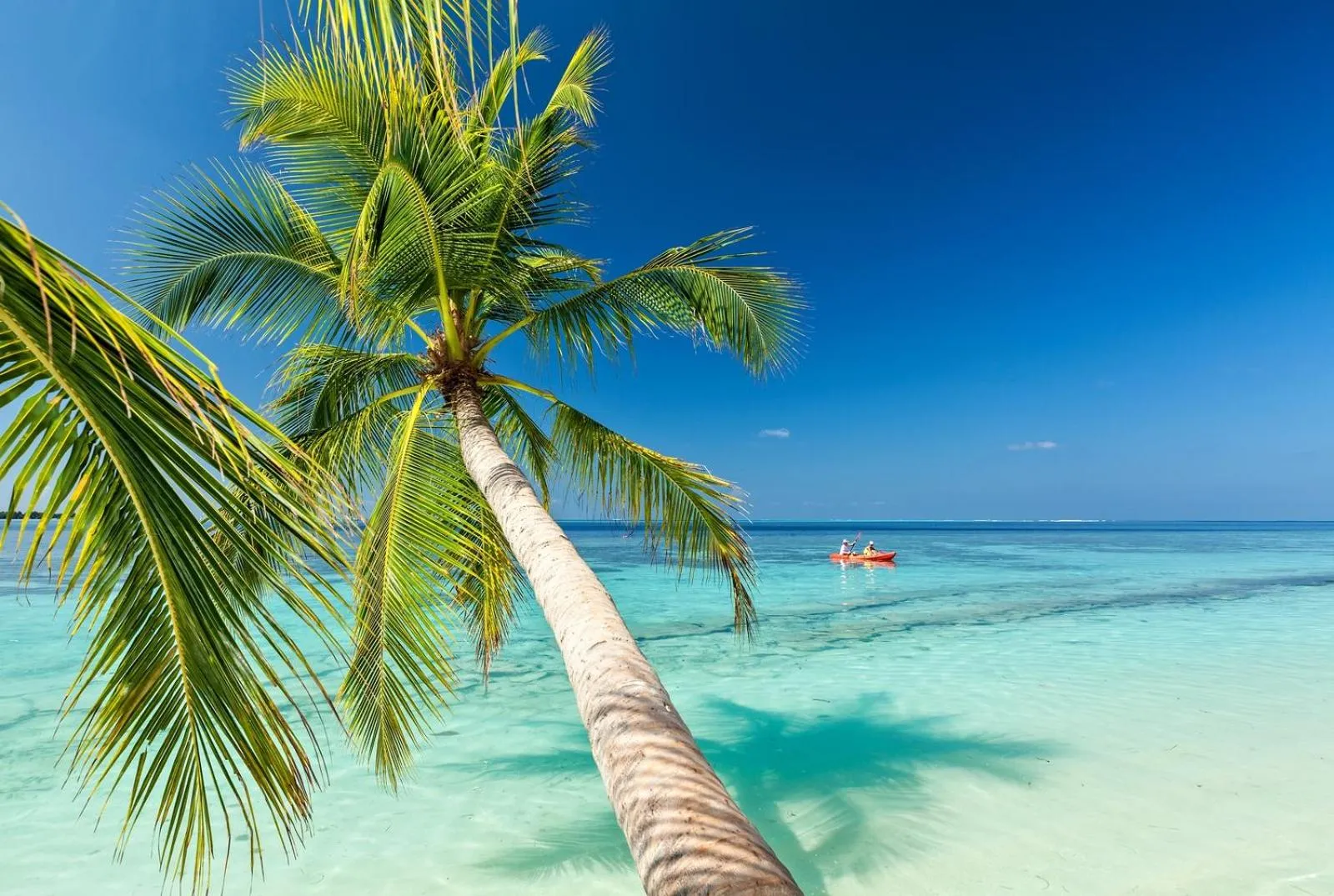 Beach in St Francis Resort