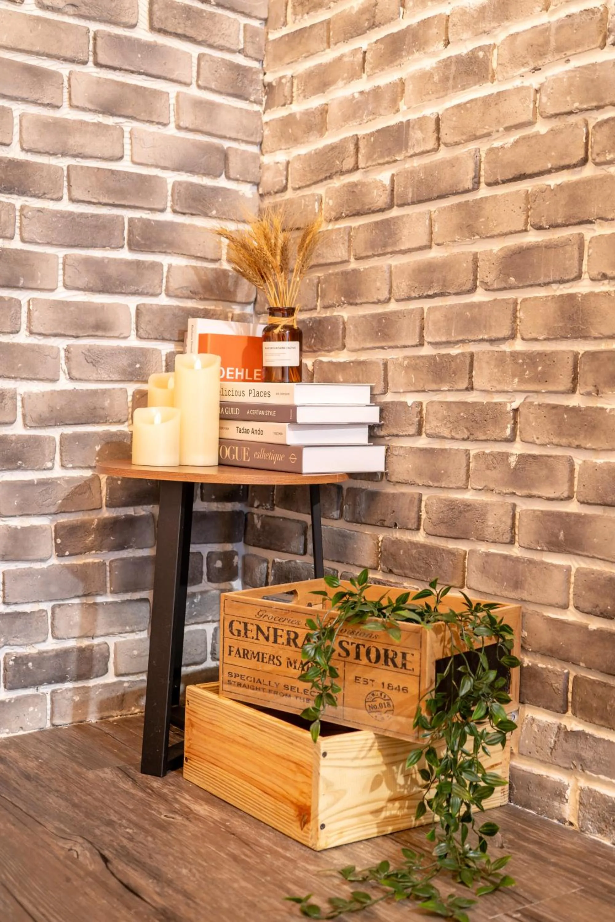 Photo of the whole room in Utopia Hostel