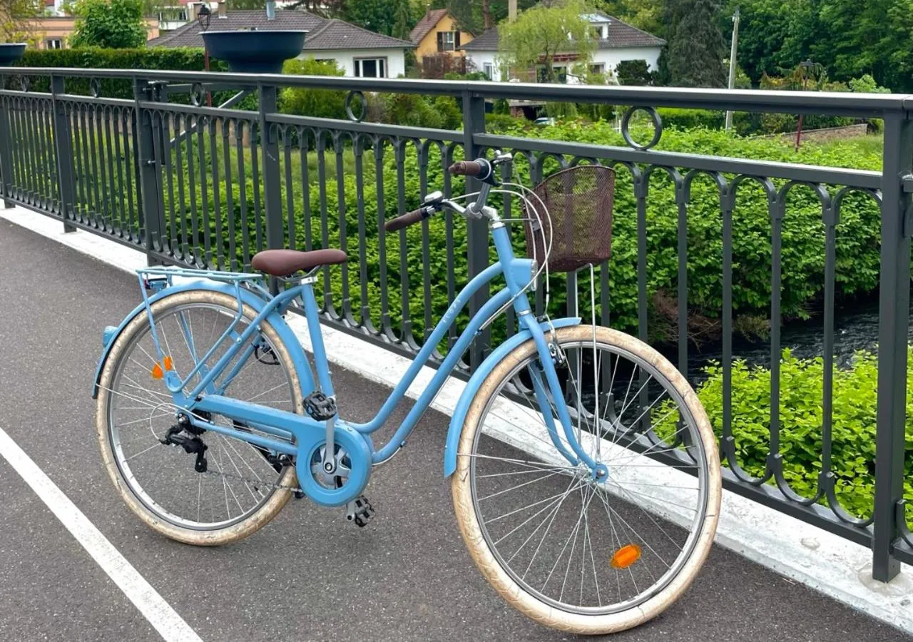 Cycling in Logis Hotel L'Ours de Mutzig