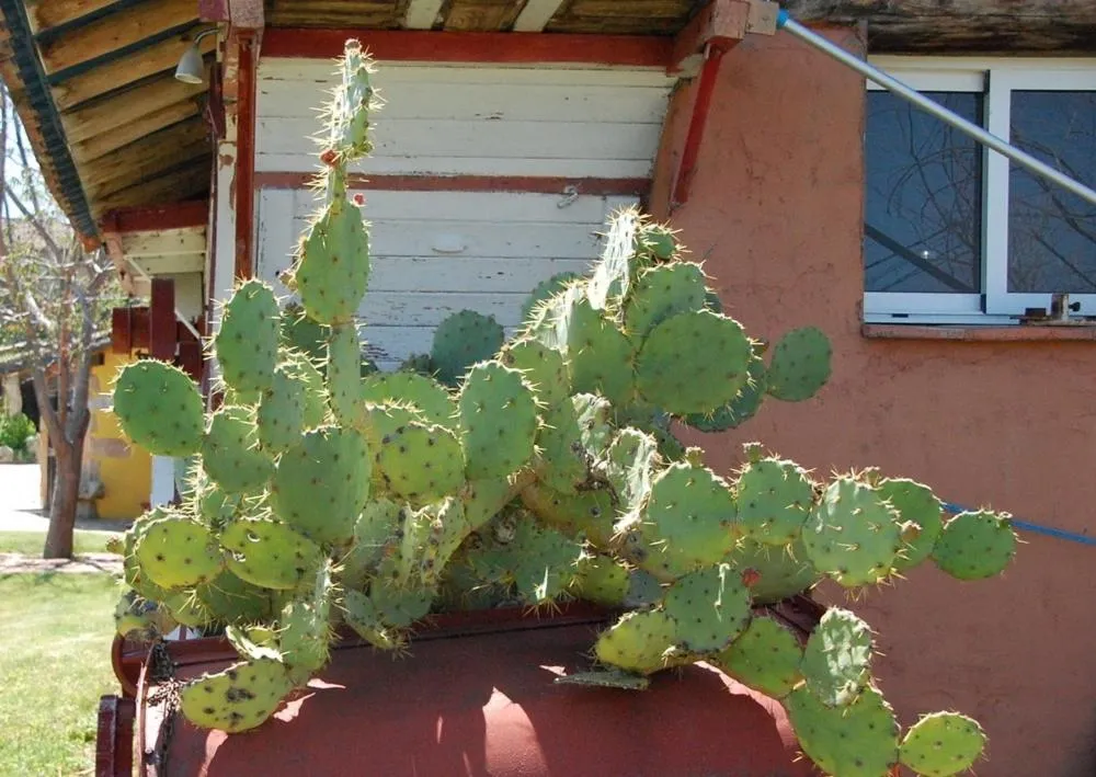 Posada Tresmentiras