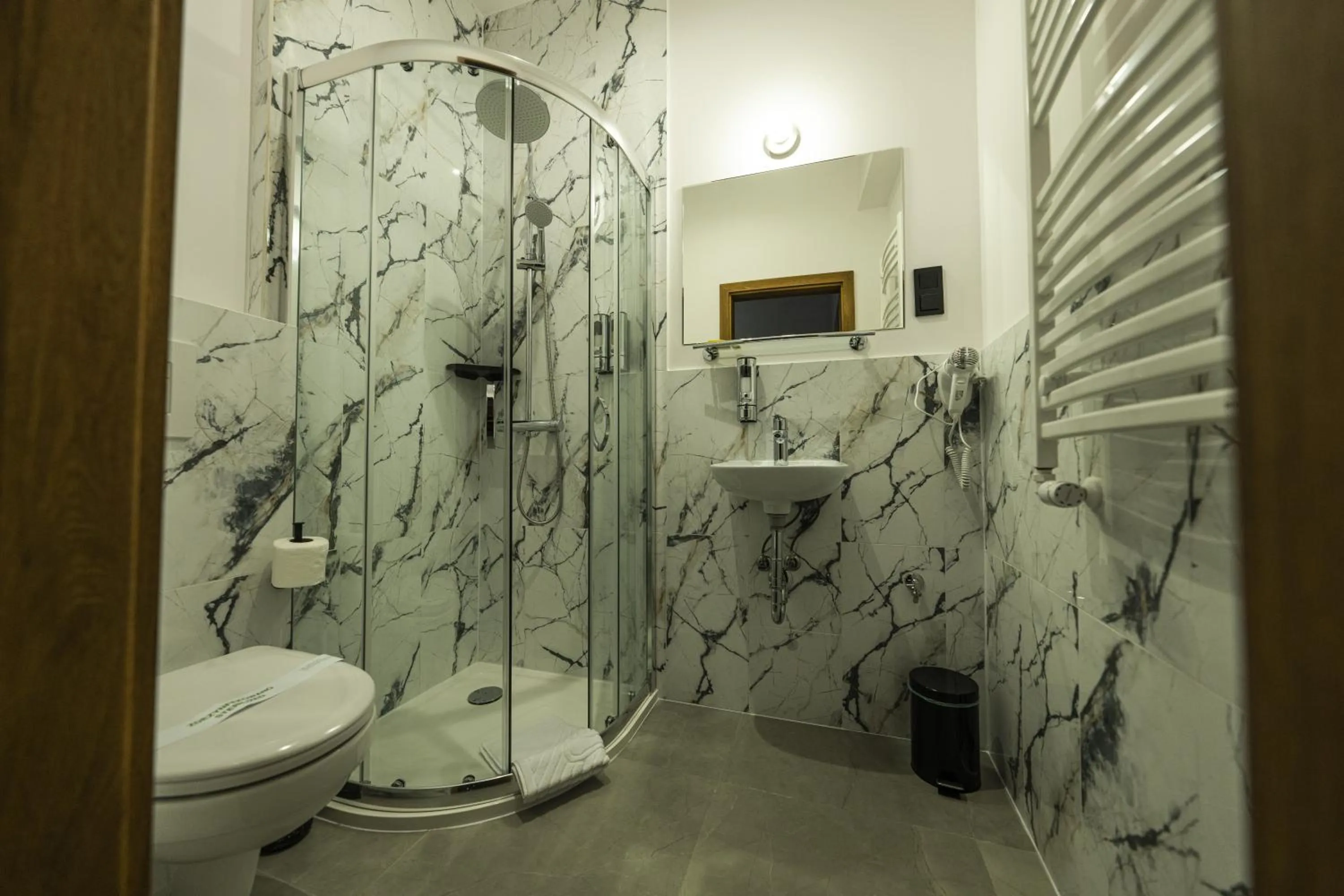 Shower in Elegant Apartments