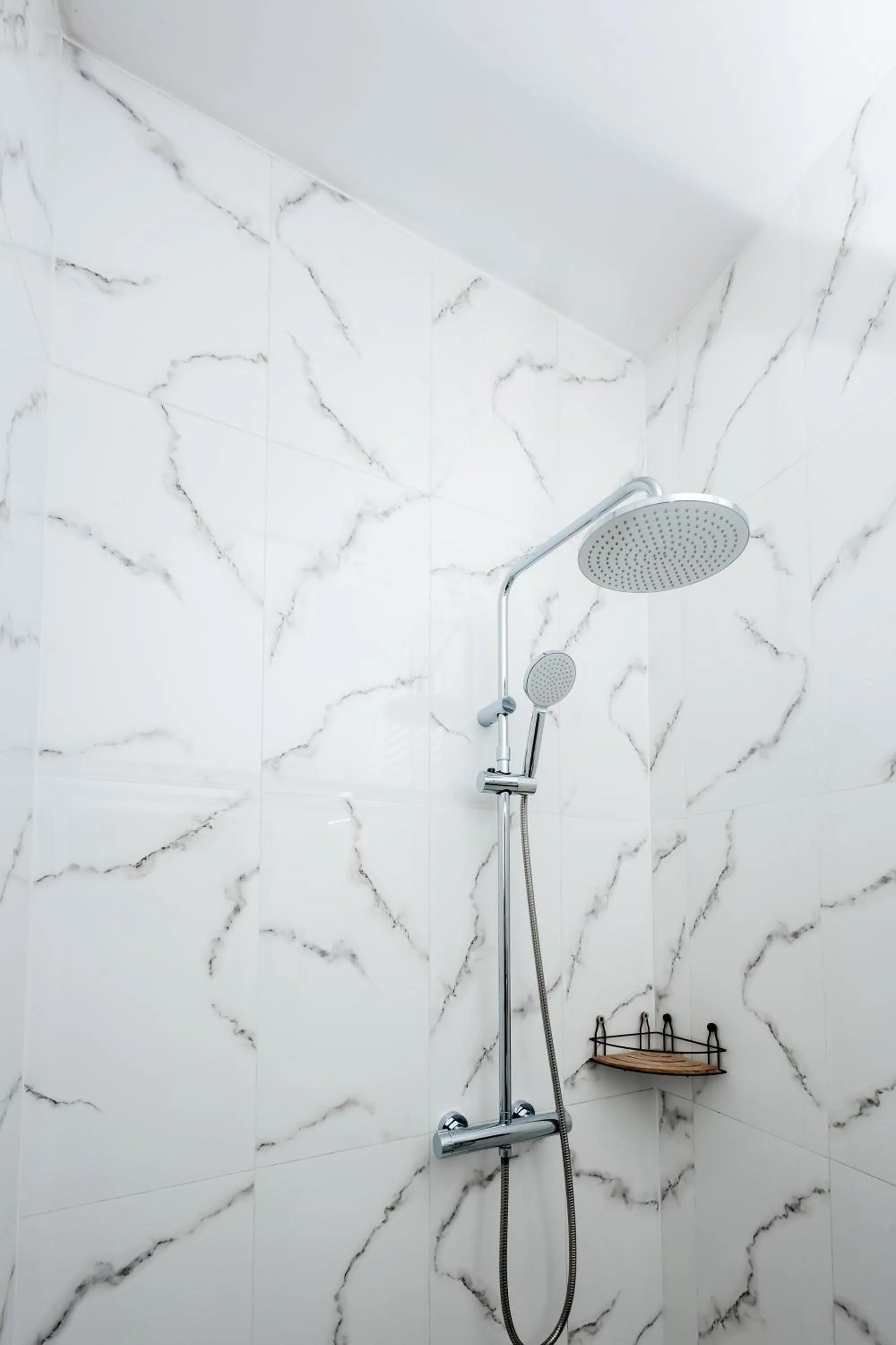 Shower in Elegant Apartments