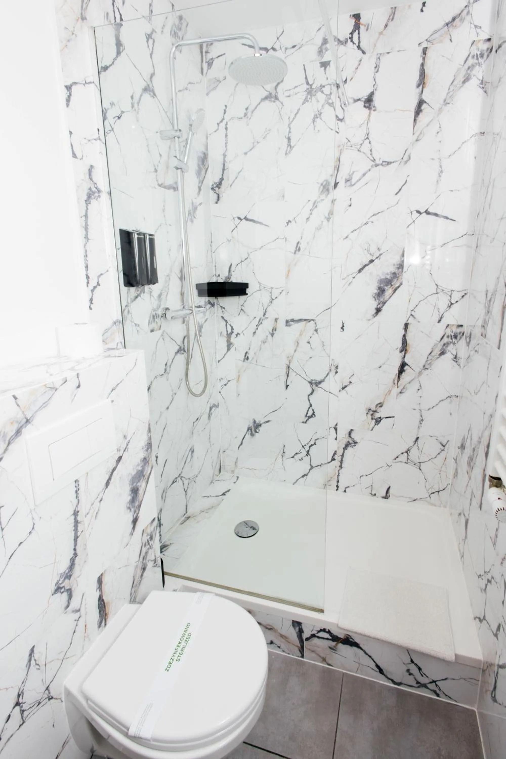 Shower in Elegant Apartments