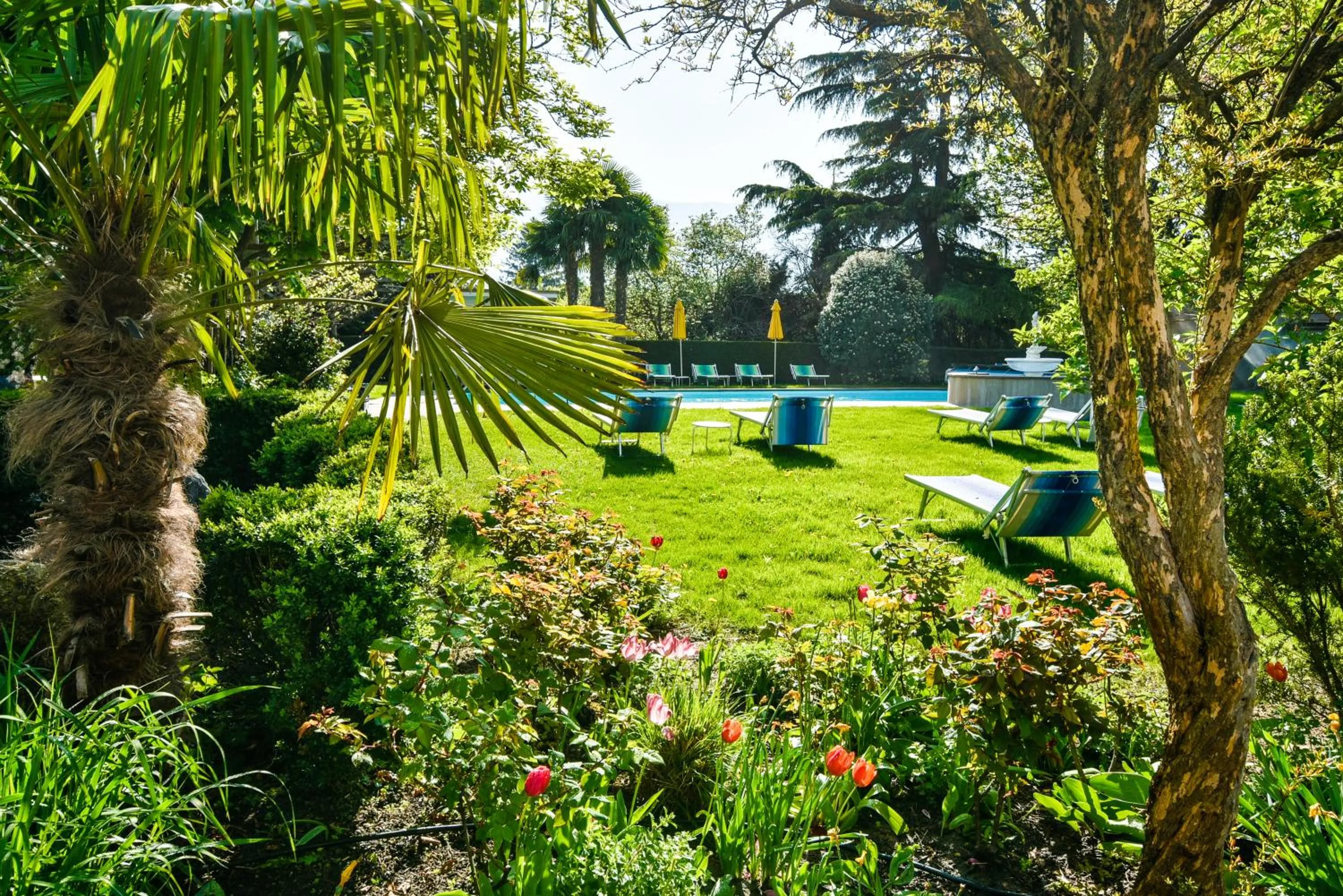 Garden view in Parkhotel Tirolerhof