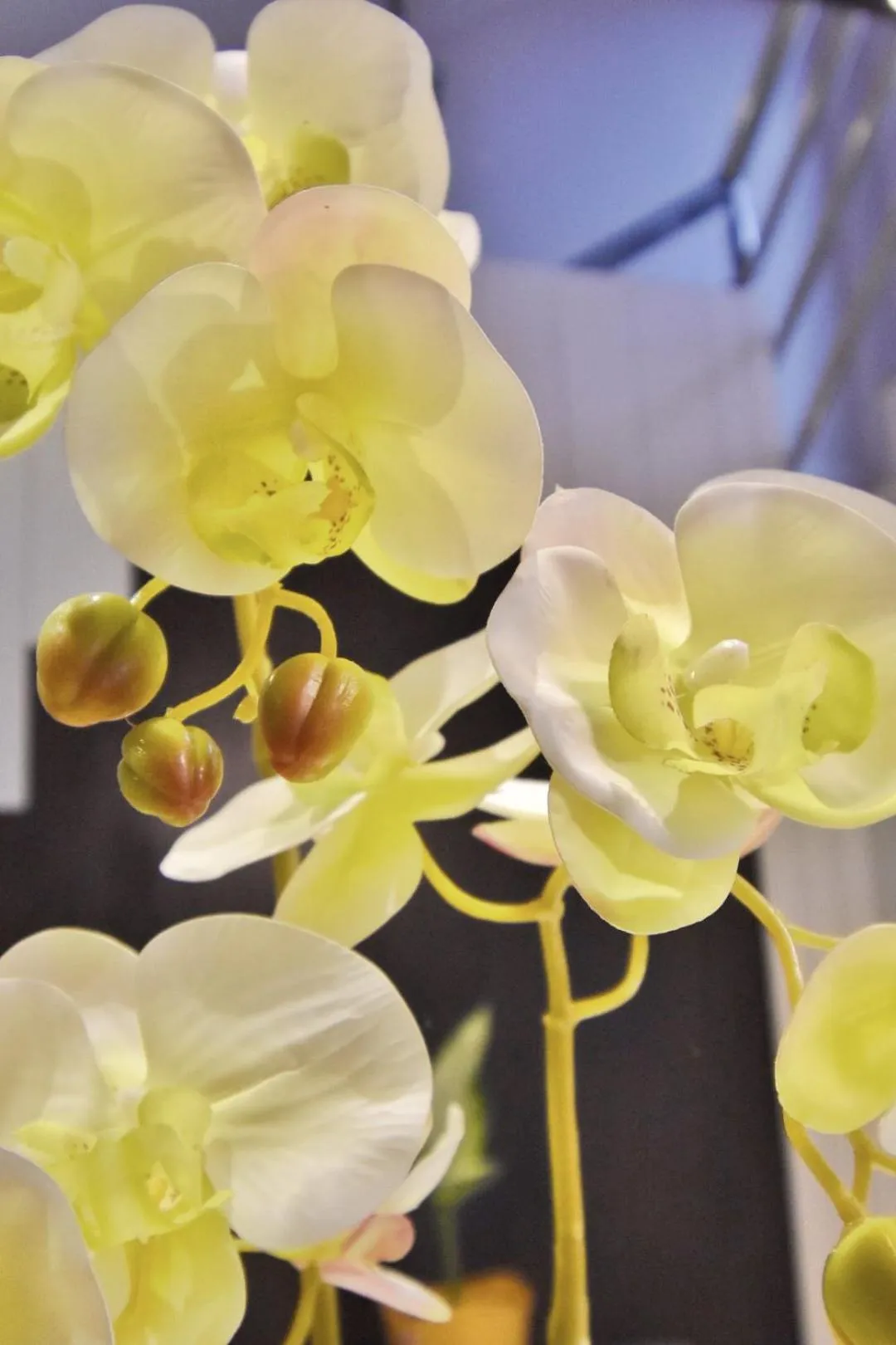 Decorative detail in Feel Like Home Nepal