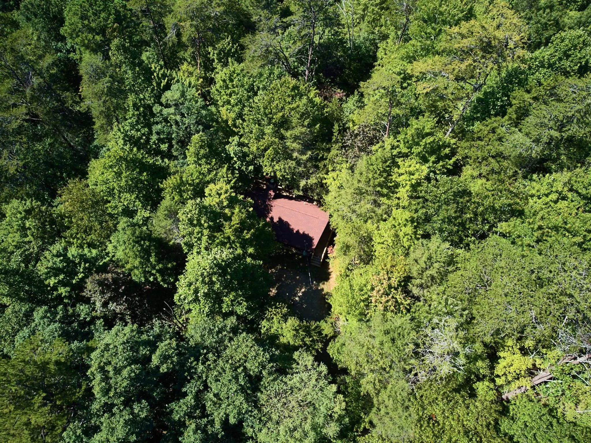 Gatlinburg Adventure Cabins