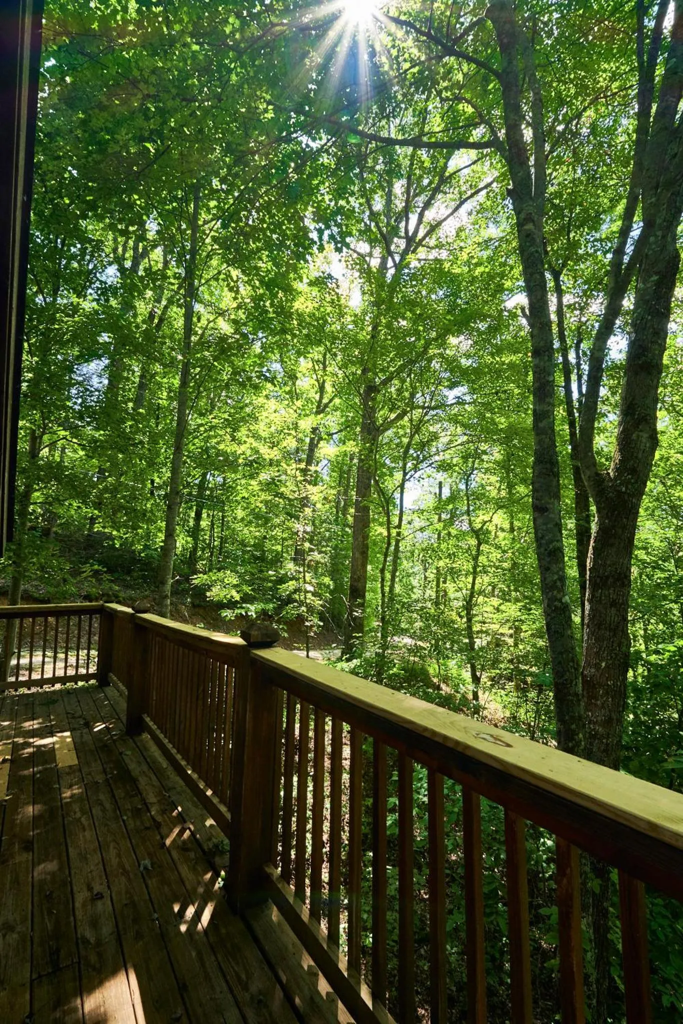 Gatlinburg Adventure Cabins