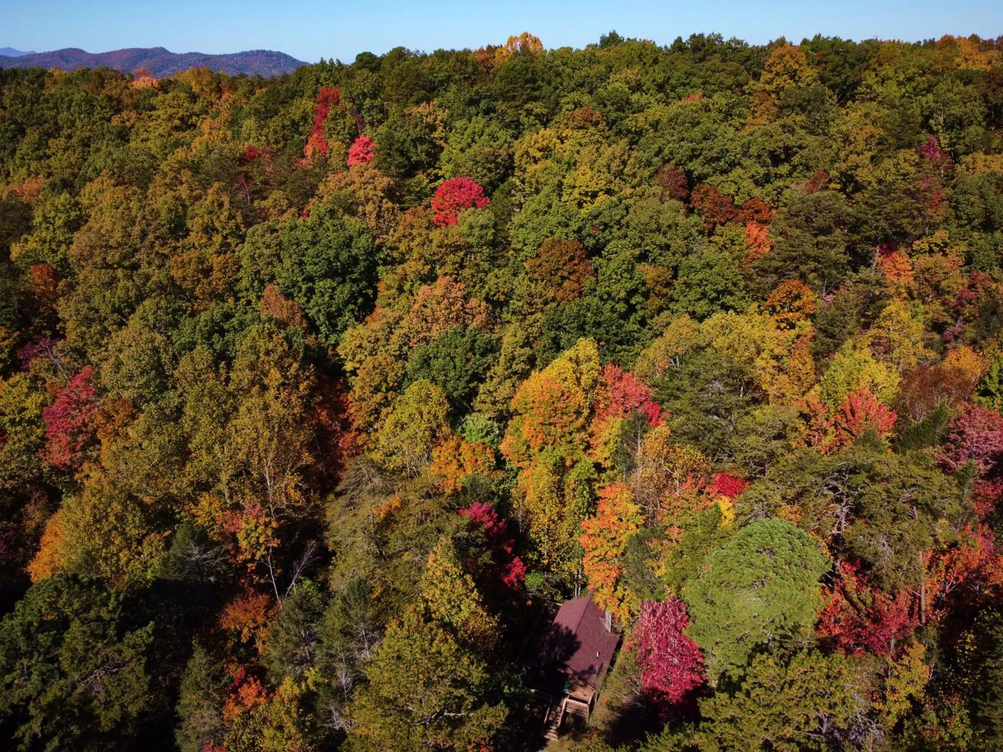 Gatlinburg Adventure Cabins