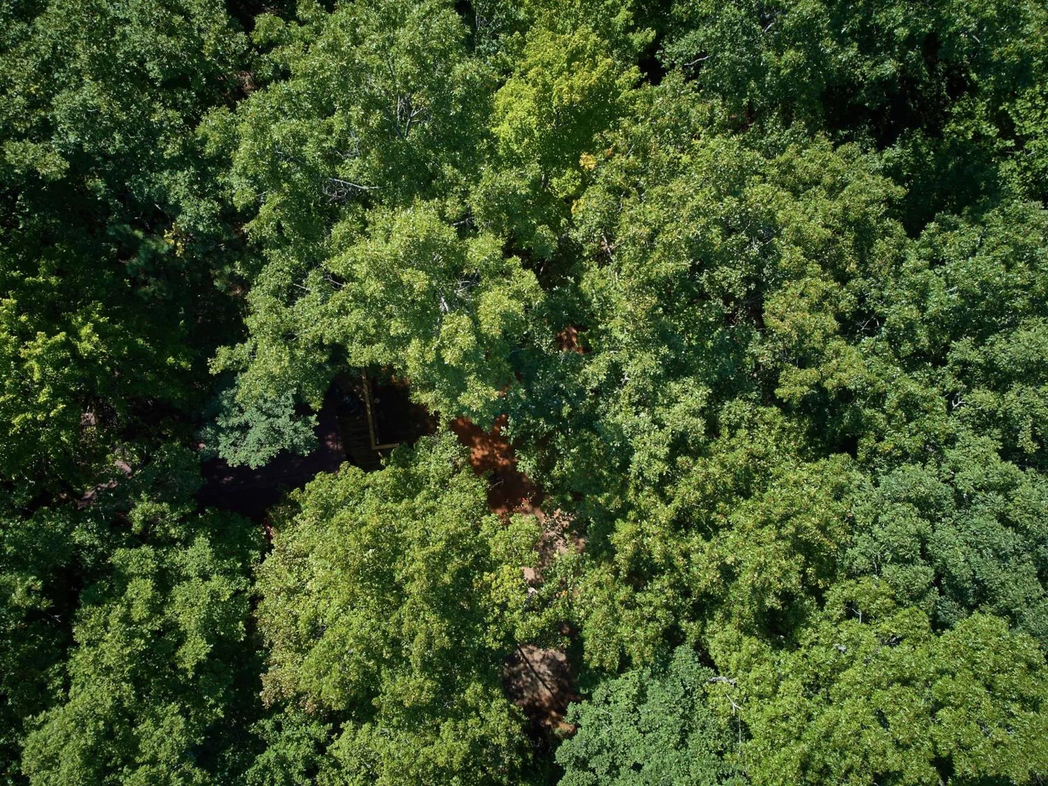 Gatlinburg Adventure Cabins