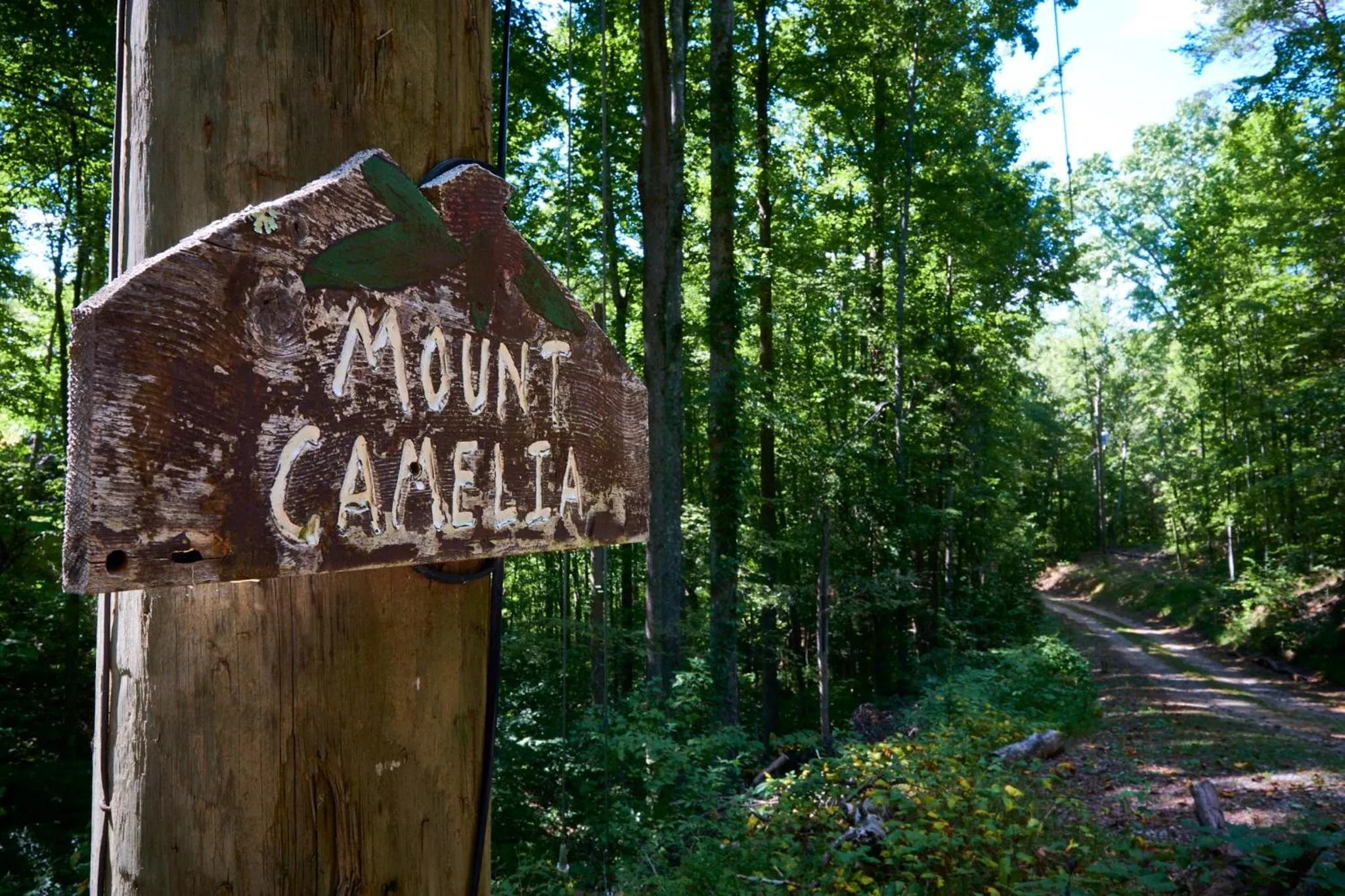 Gatlinburg Adventure Cabins