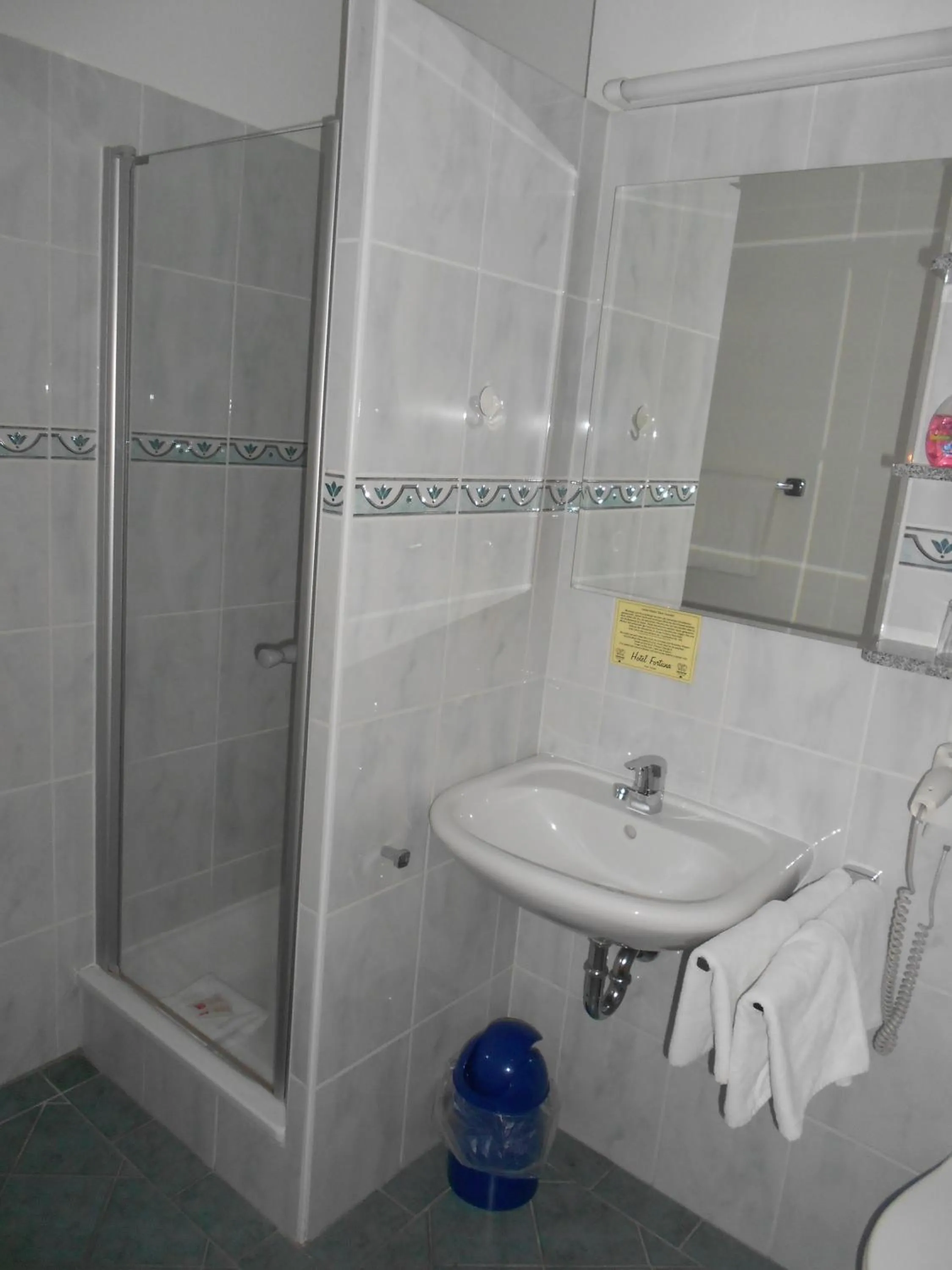 Shower in Hotel Fortuna