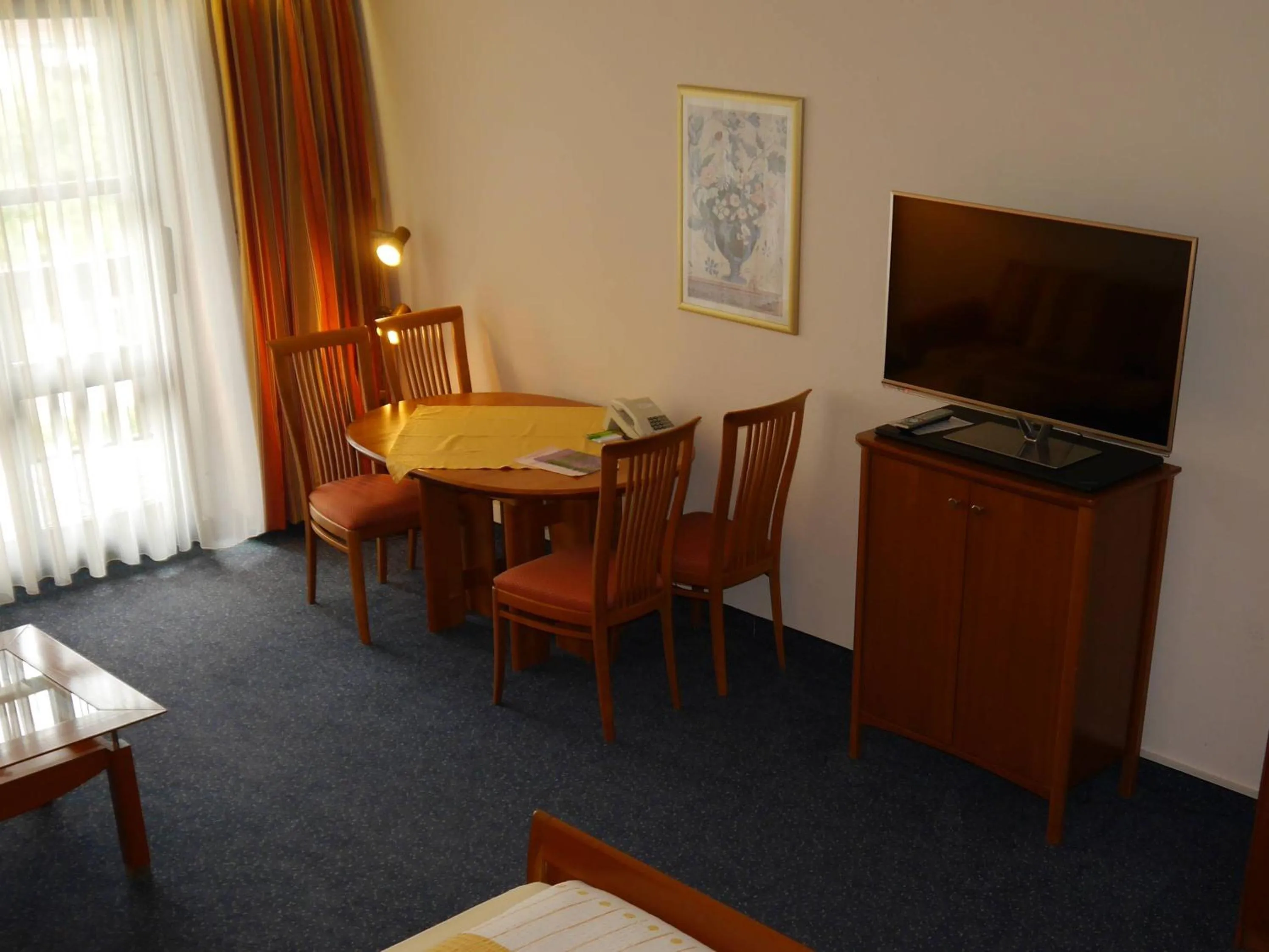 TV and multimedia in Hotel Fortuna