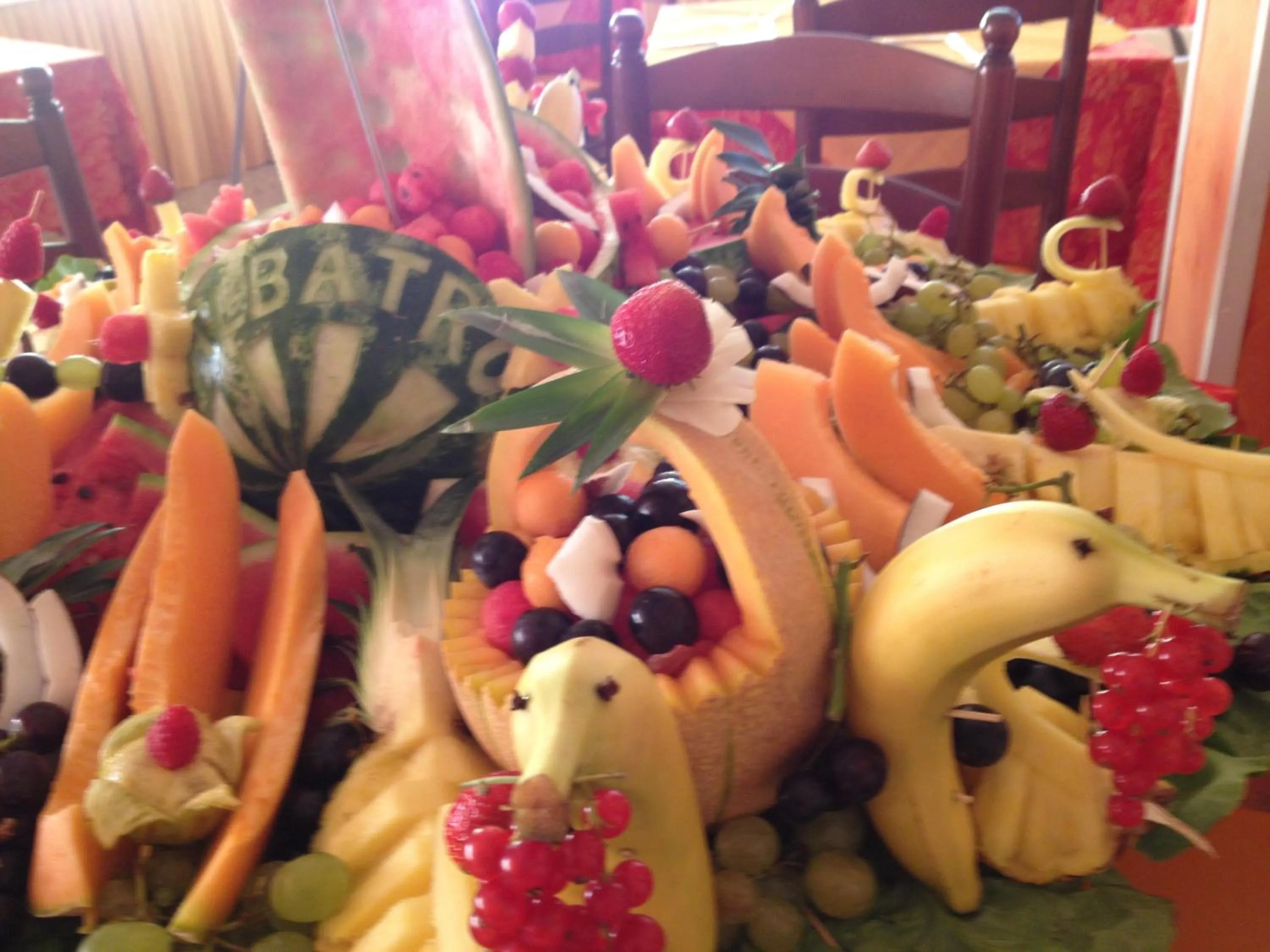 Food in Hotel Albatros