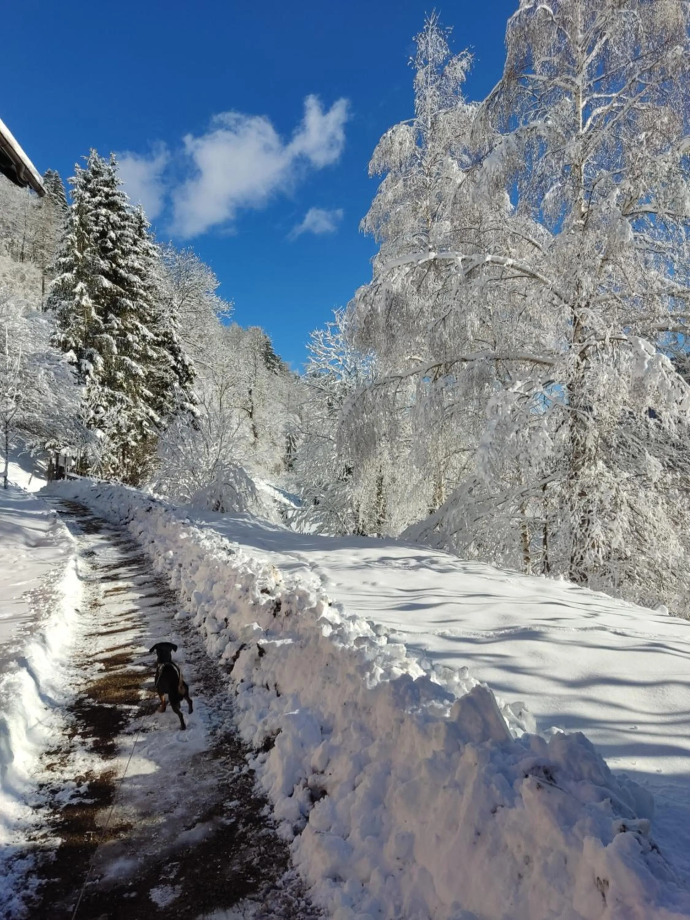 Natural landscape in Hotel Kirchenwirt