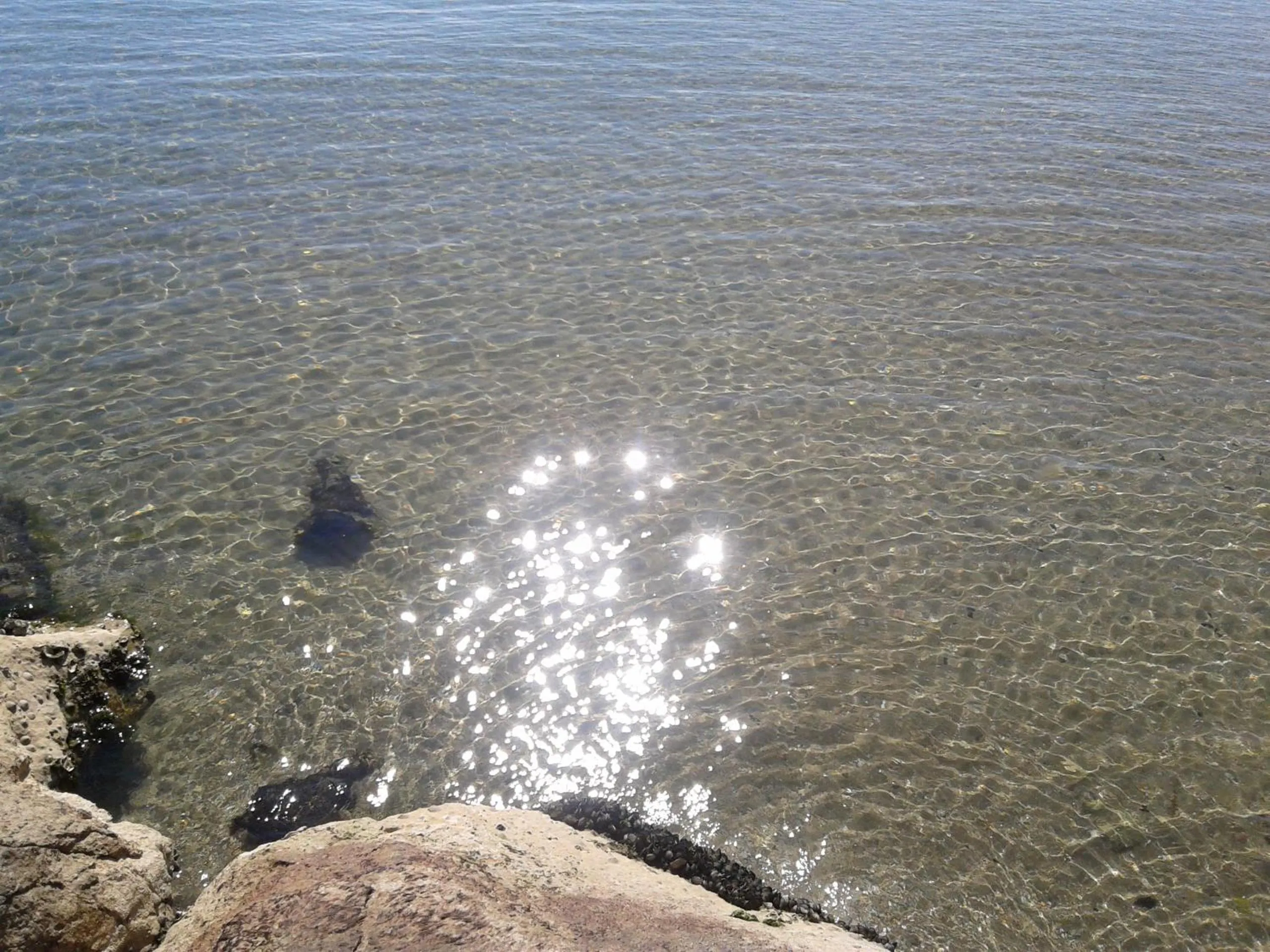 Beach in Hotel Aquila D'Oro