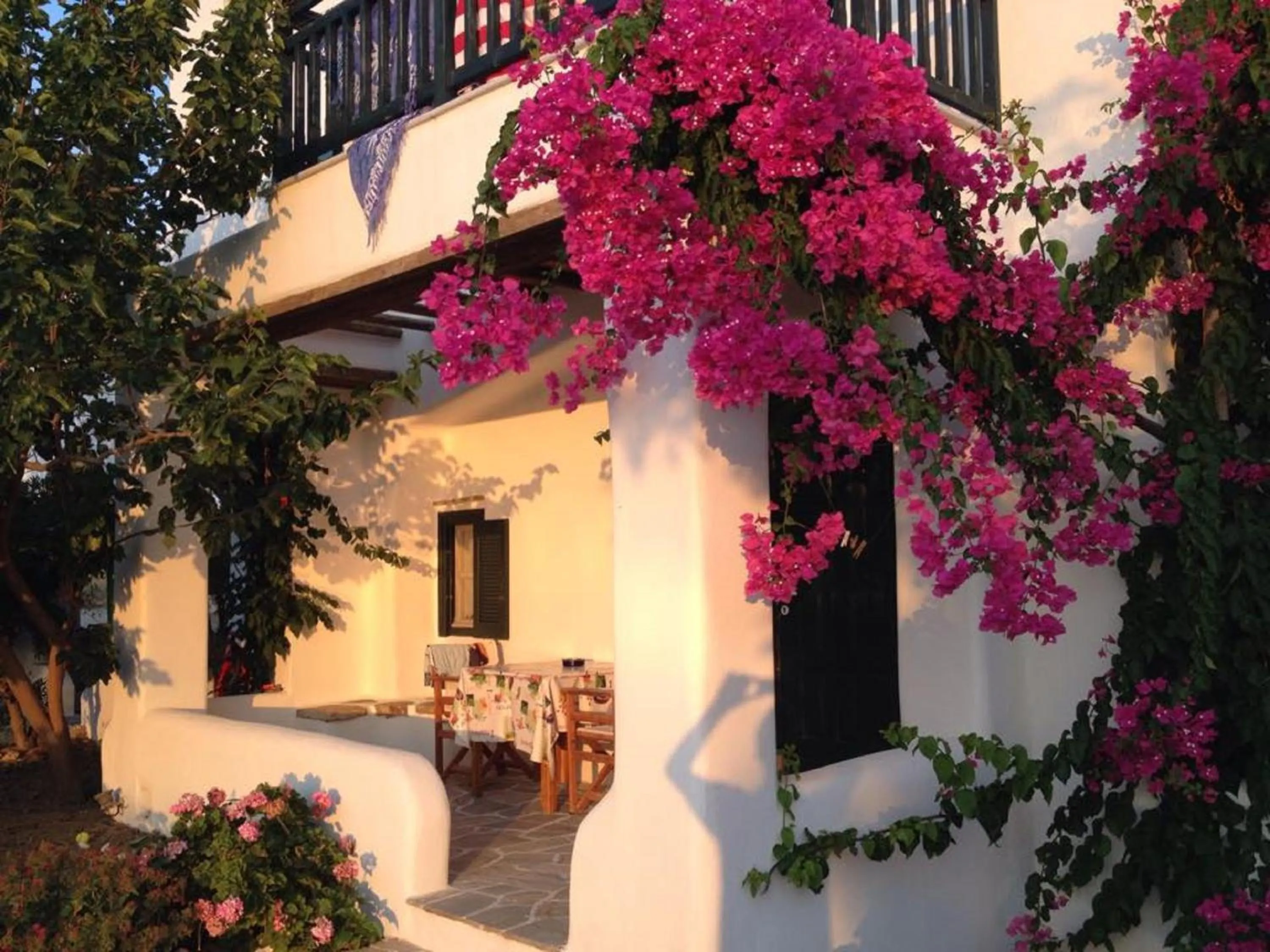 Patio in Something Else