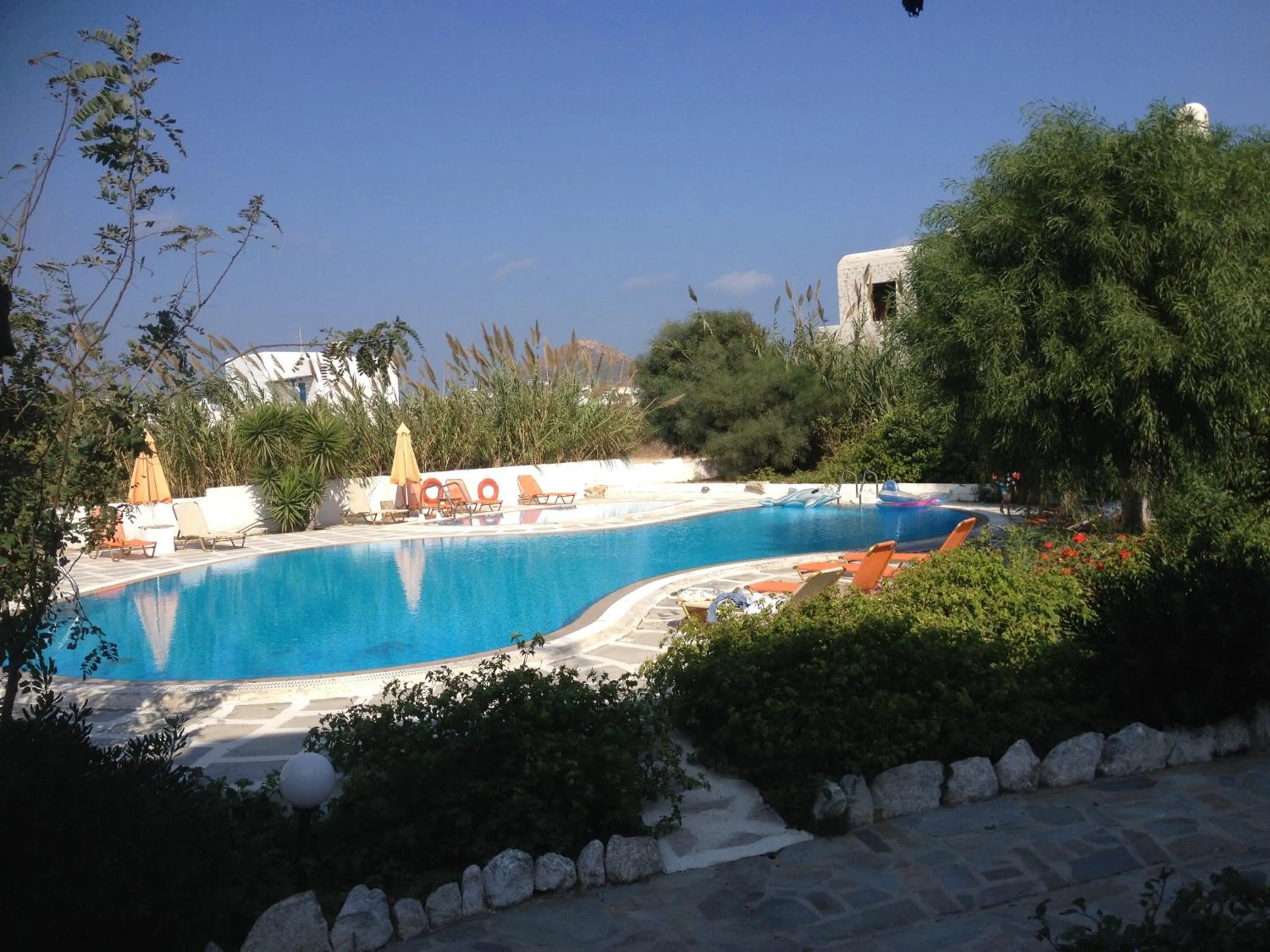 Garden in Something Else