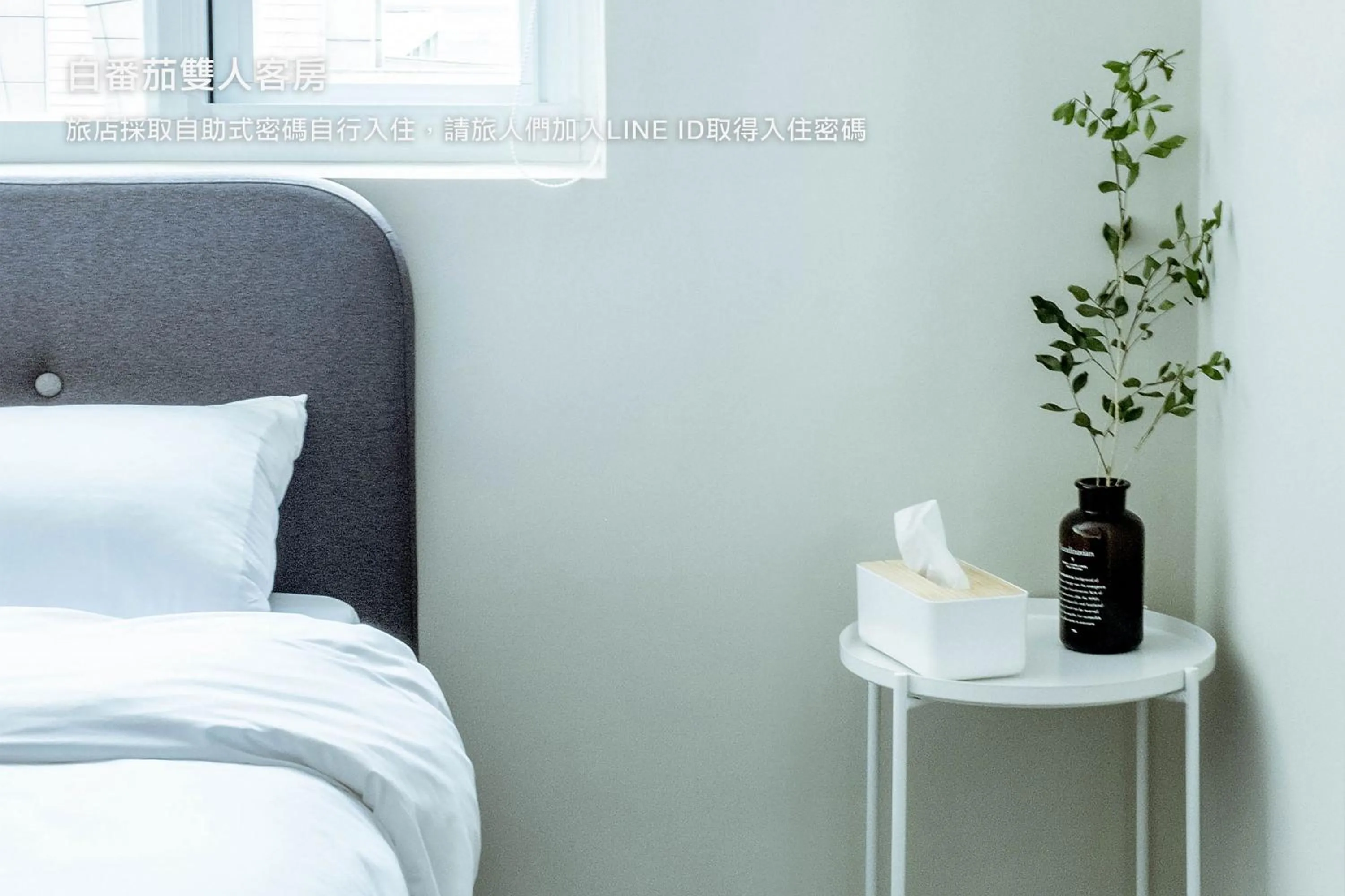 Bed in Hostel Tomato 番茄溫泉青旅