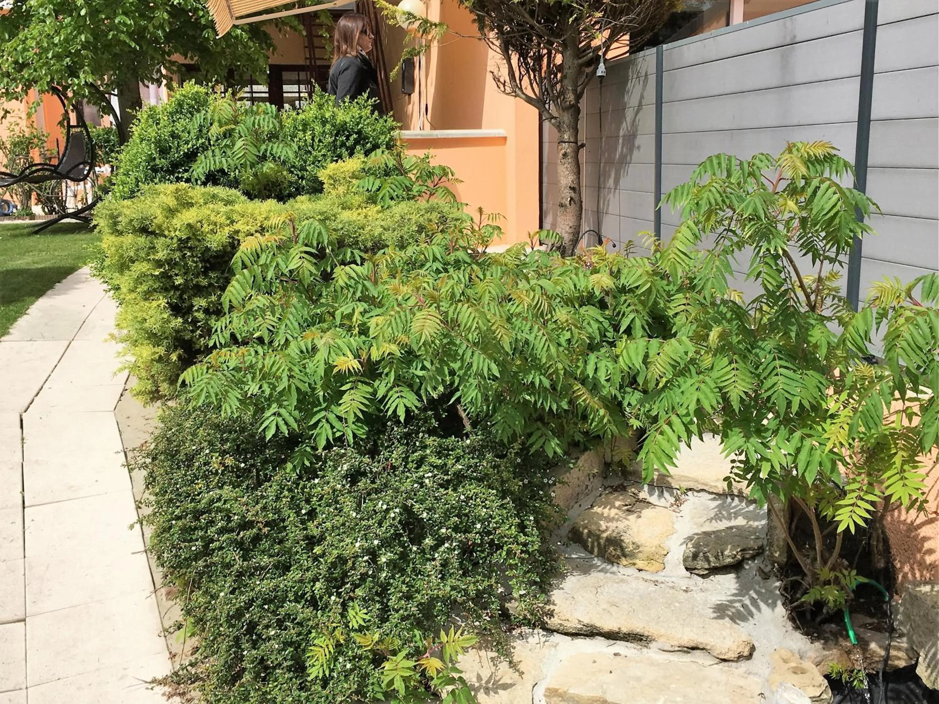 Decorative detail in Hôtel et Appart 'hôtel Chez Gino ETAPLES-Le Touquet