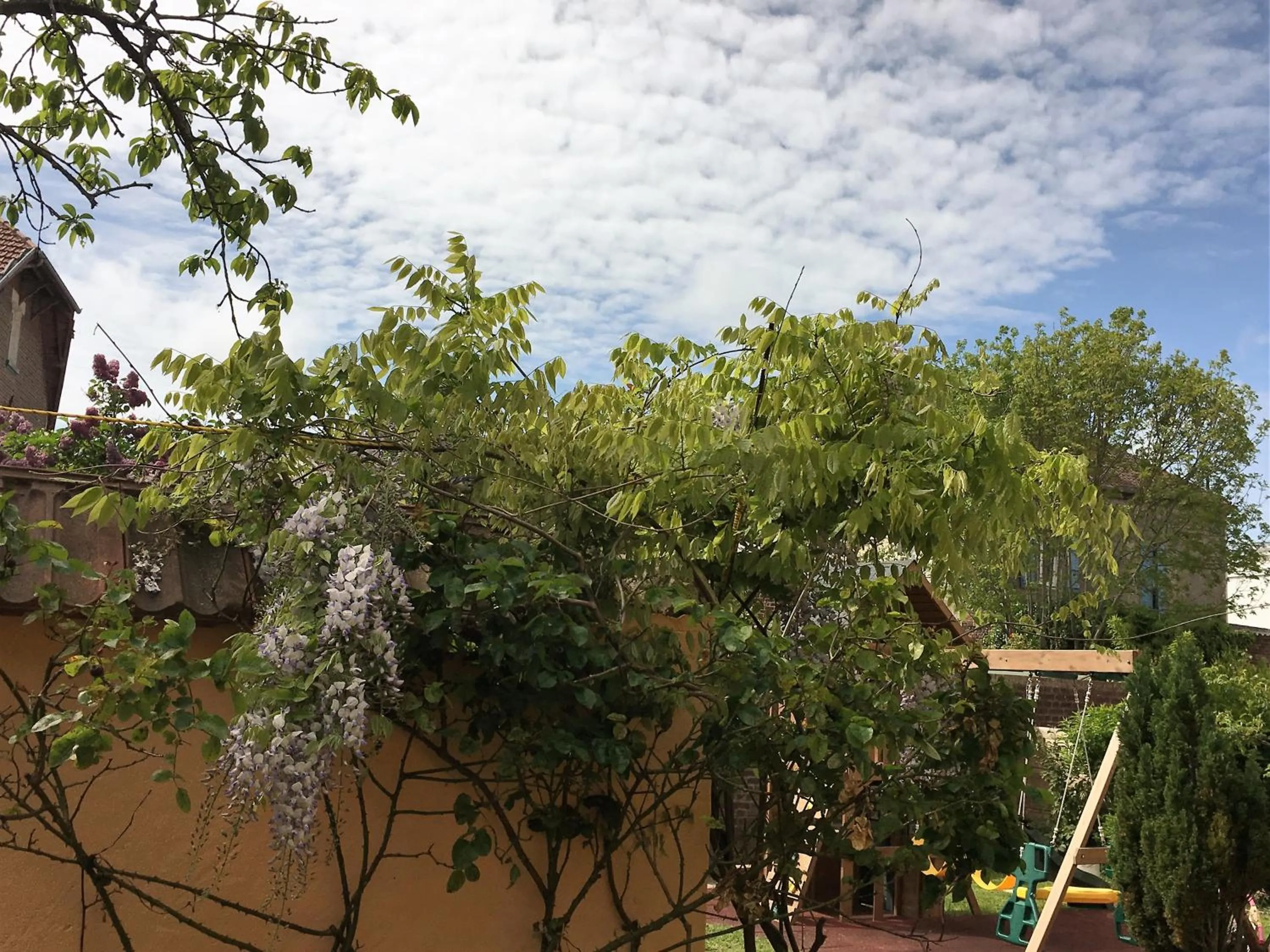 Decorative detail in Hôtel et Appart 'hôtel Chez Gino ETAPLES-Le Touquet