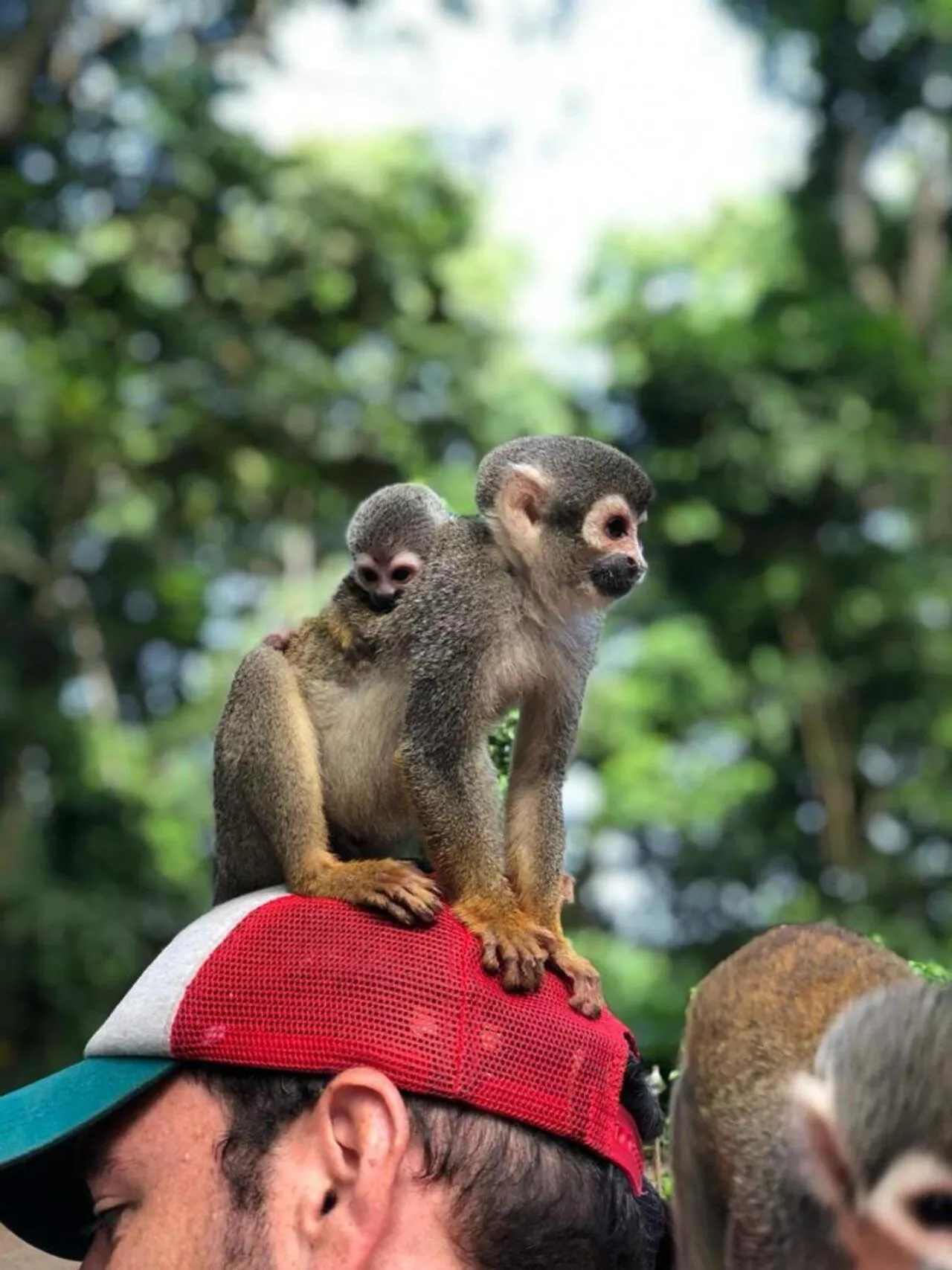 Activities in Hotel Yurupary AMAZONAS