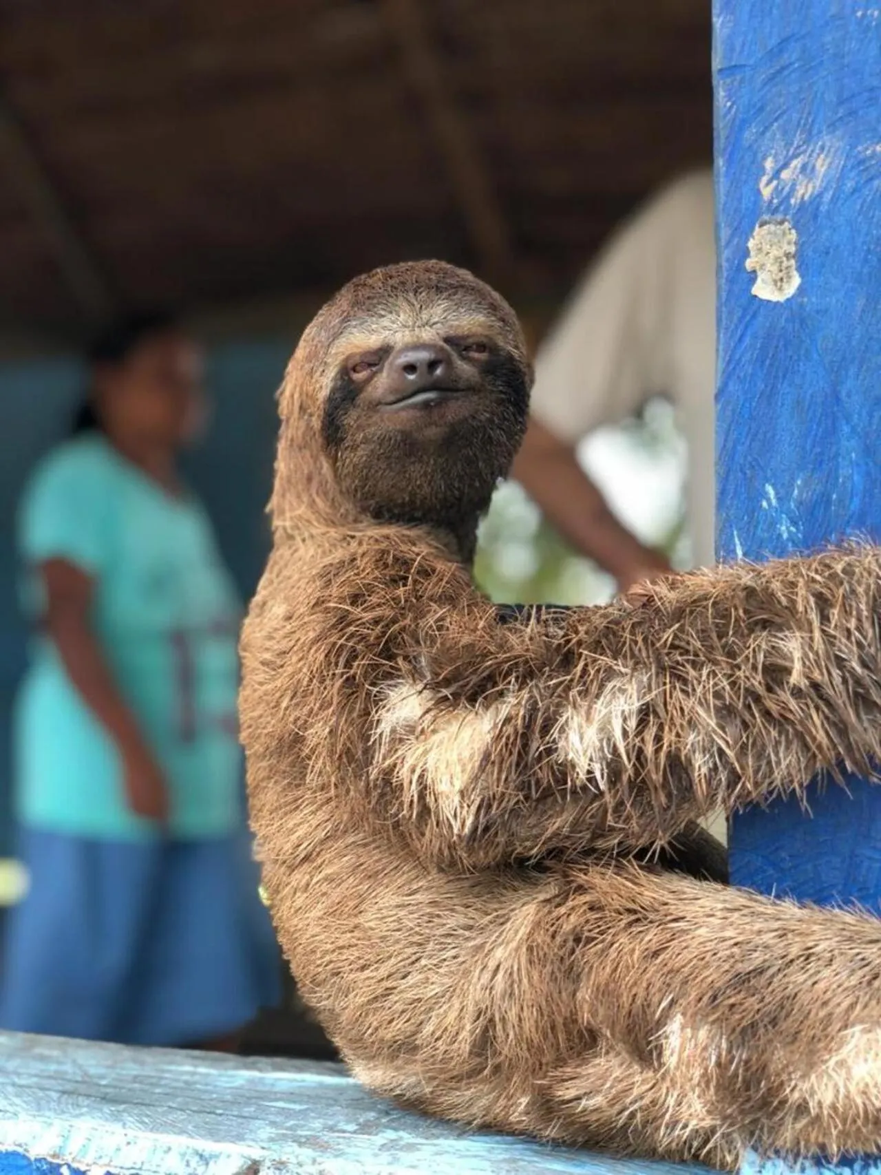 Activities in Hotel Yurupary AMAZONAS