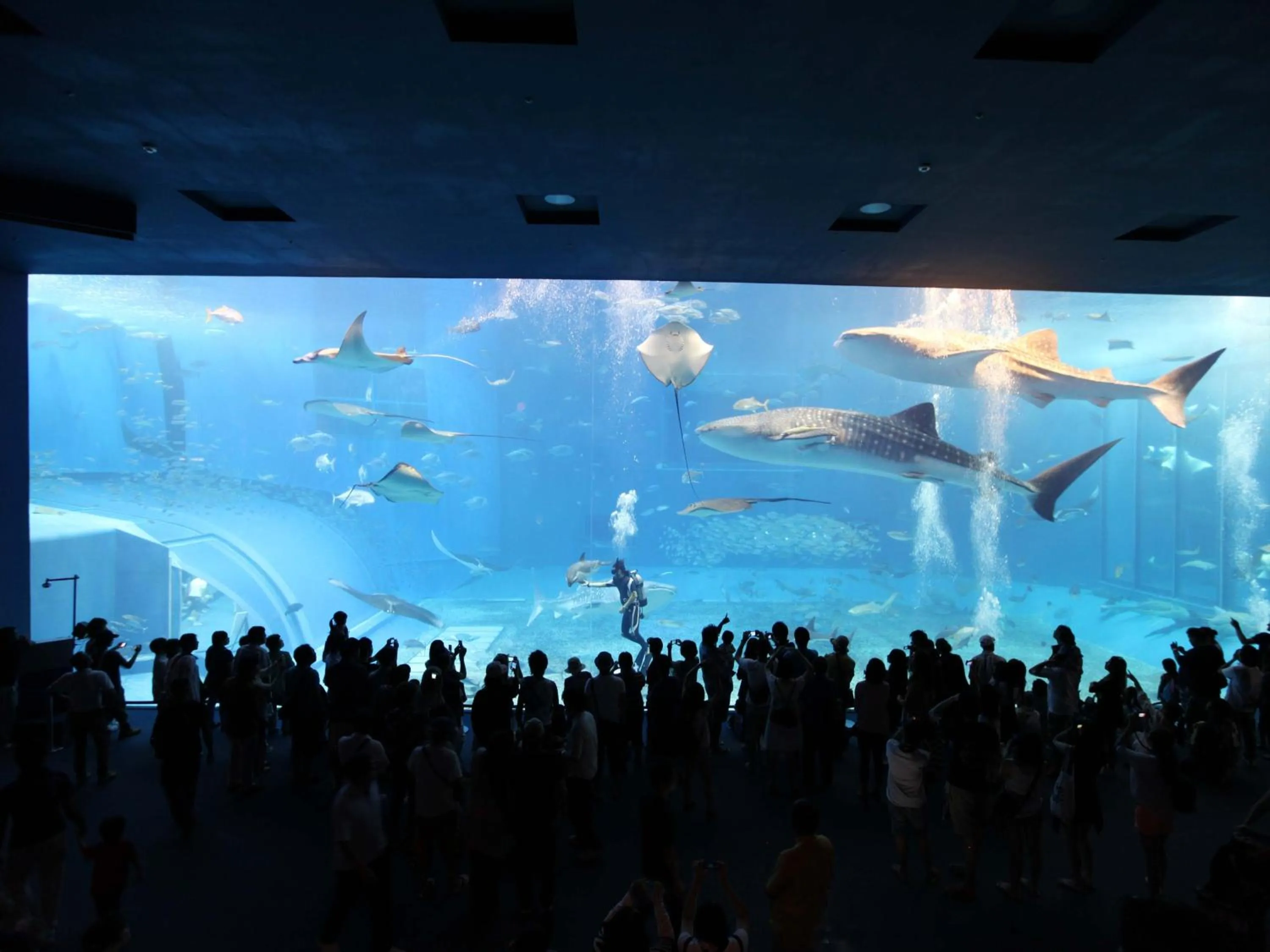 Nearby landmark in Tokyu Stay Okinawa Naha