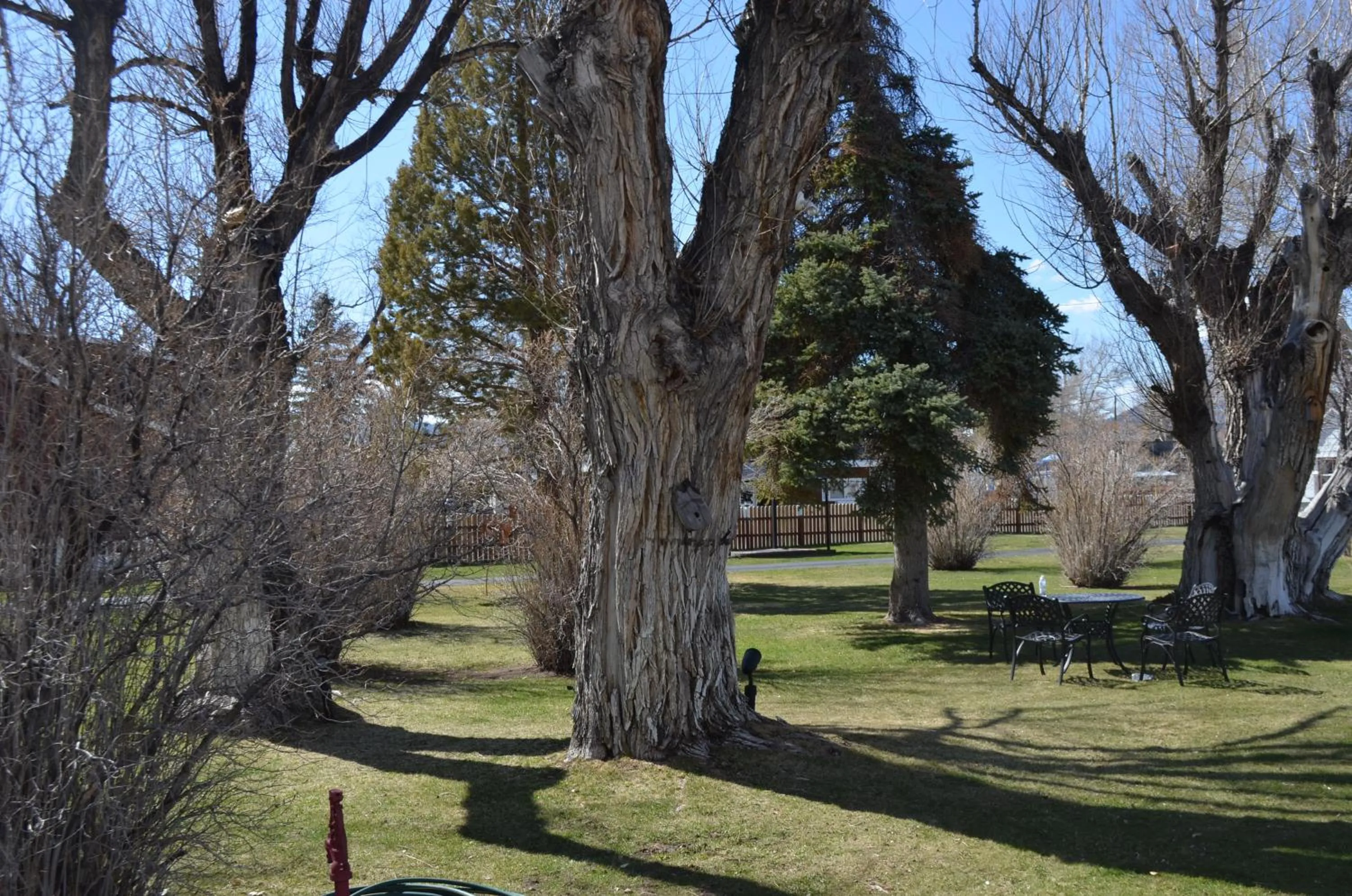 Natural landscape in Silver Maple Inn