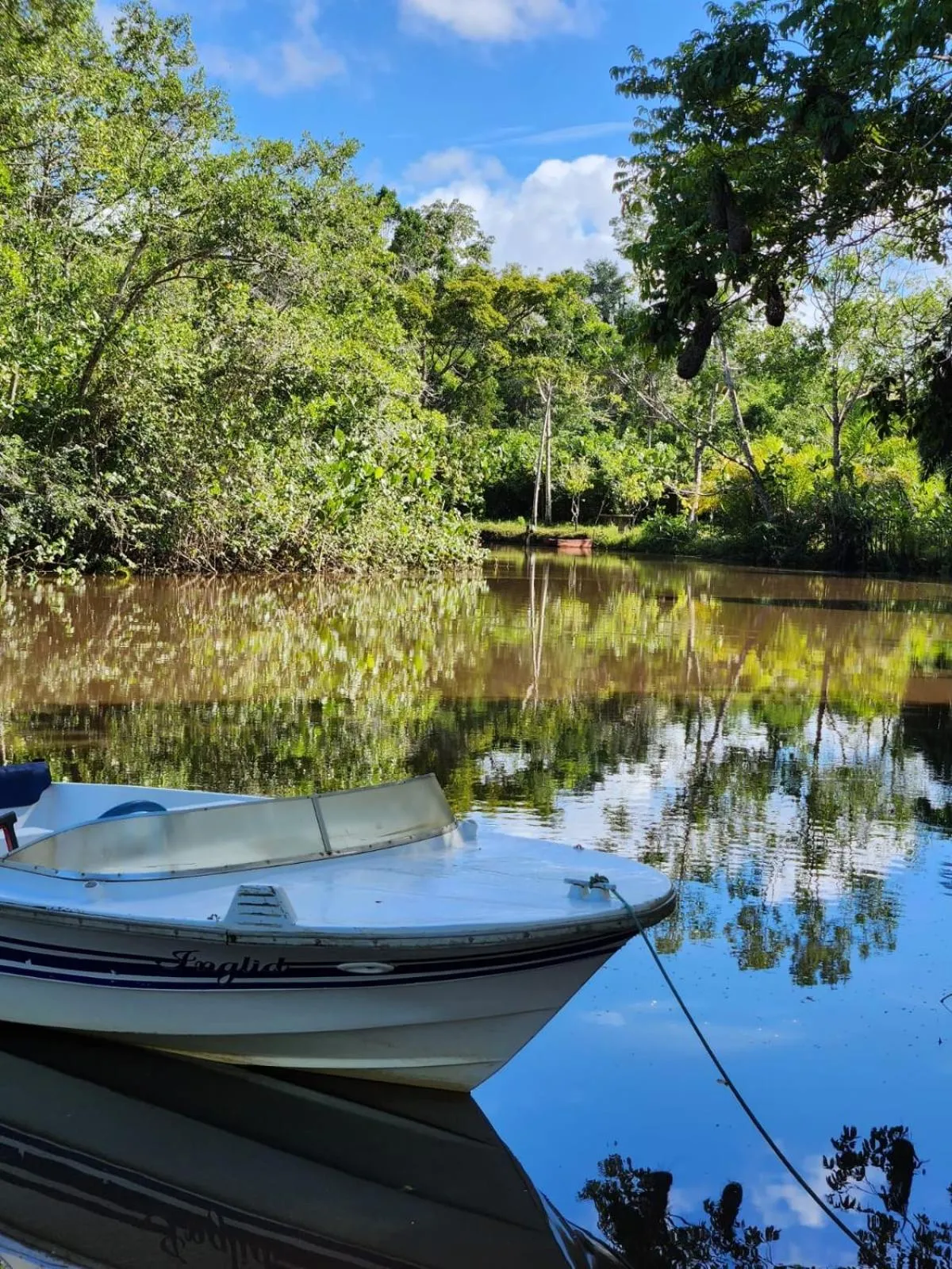 Natural landscape in Fazenda Eco-Jardim