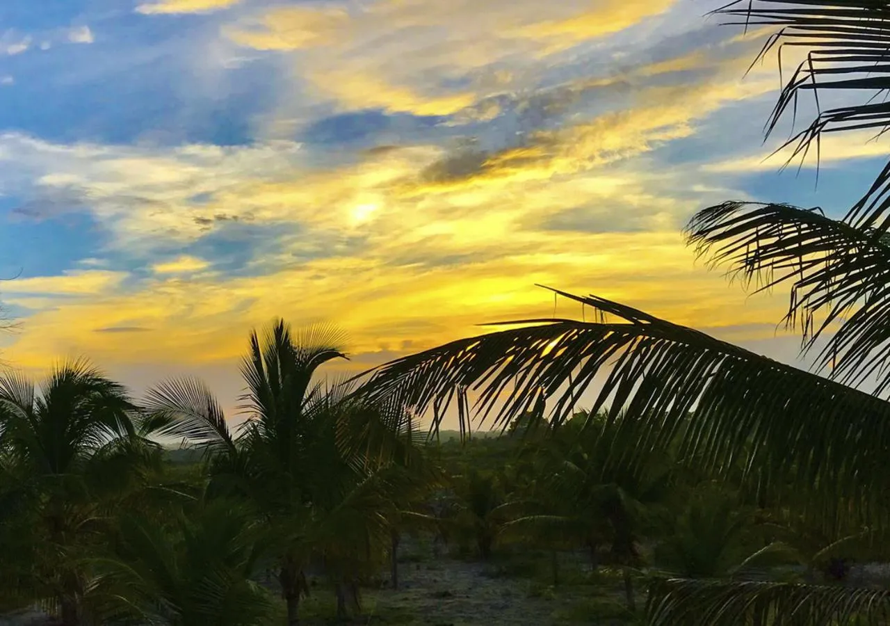 Natural landscape in Fazenda Eco-Jardim