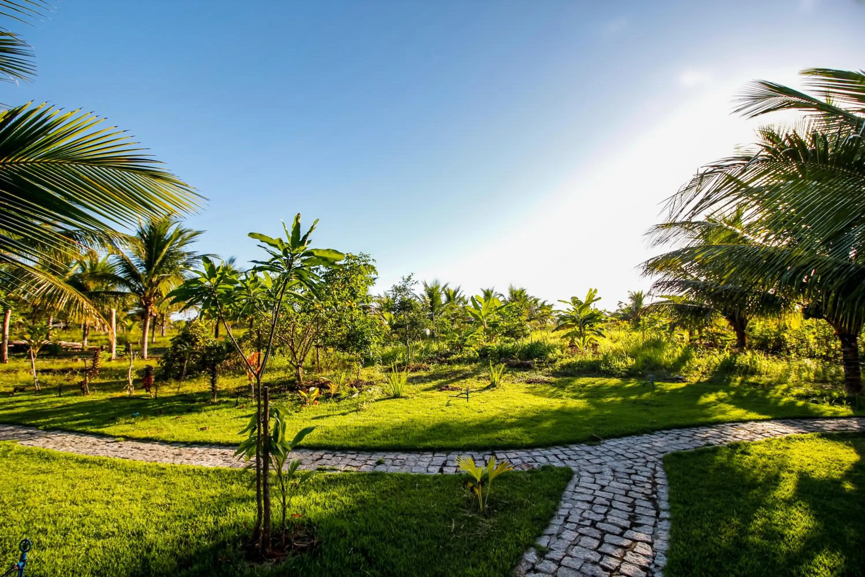 BBQ facilities in Fazenda Eco-Jardim