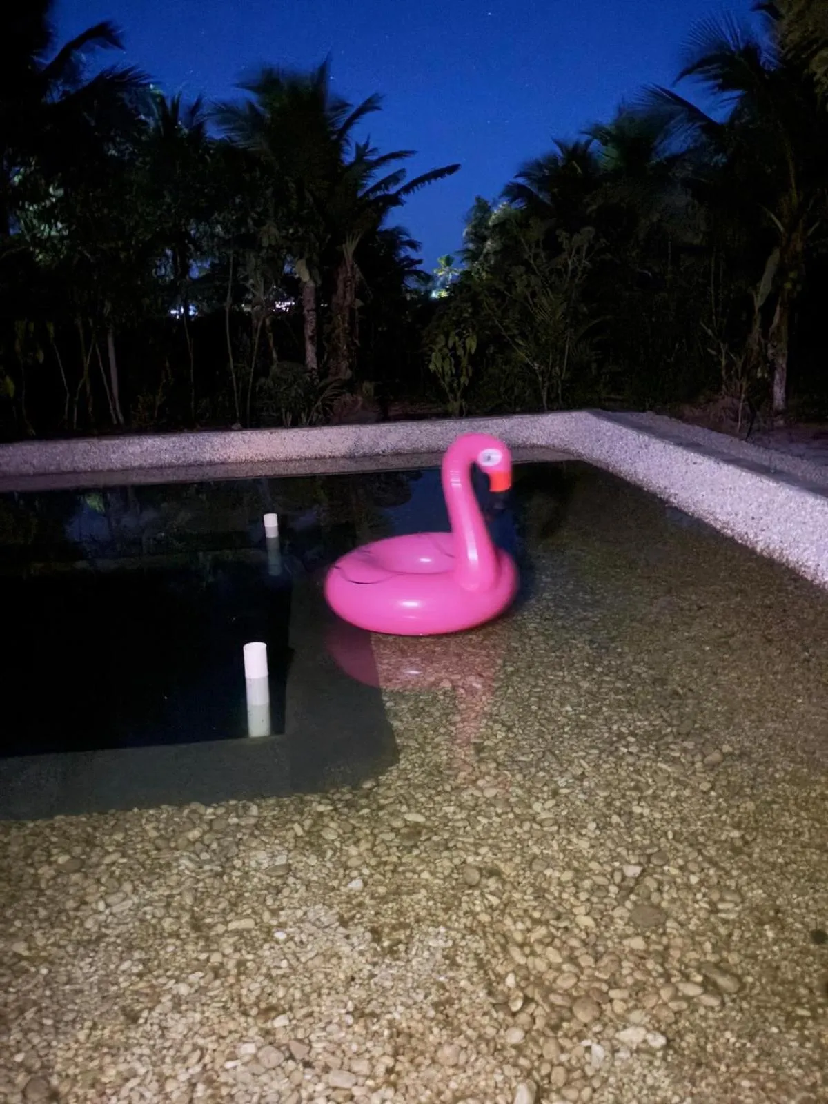 Swimming pool in Fazenda Eco-Jardim