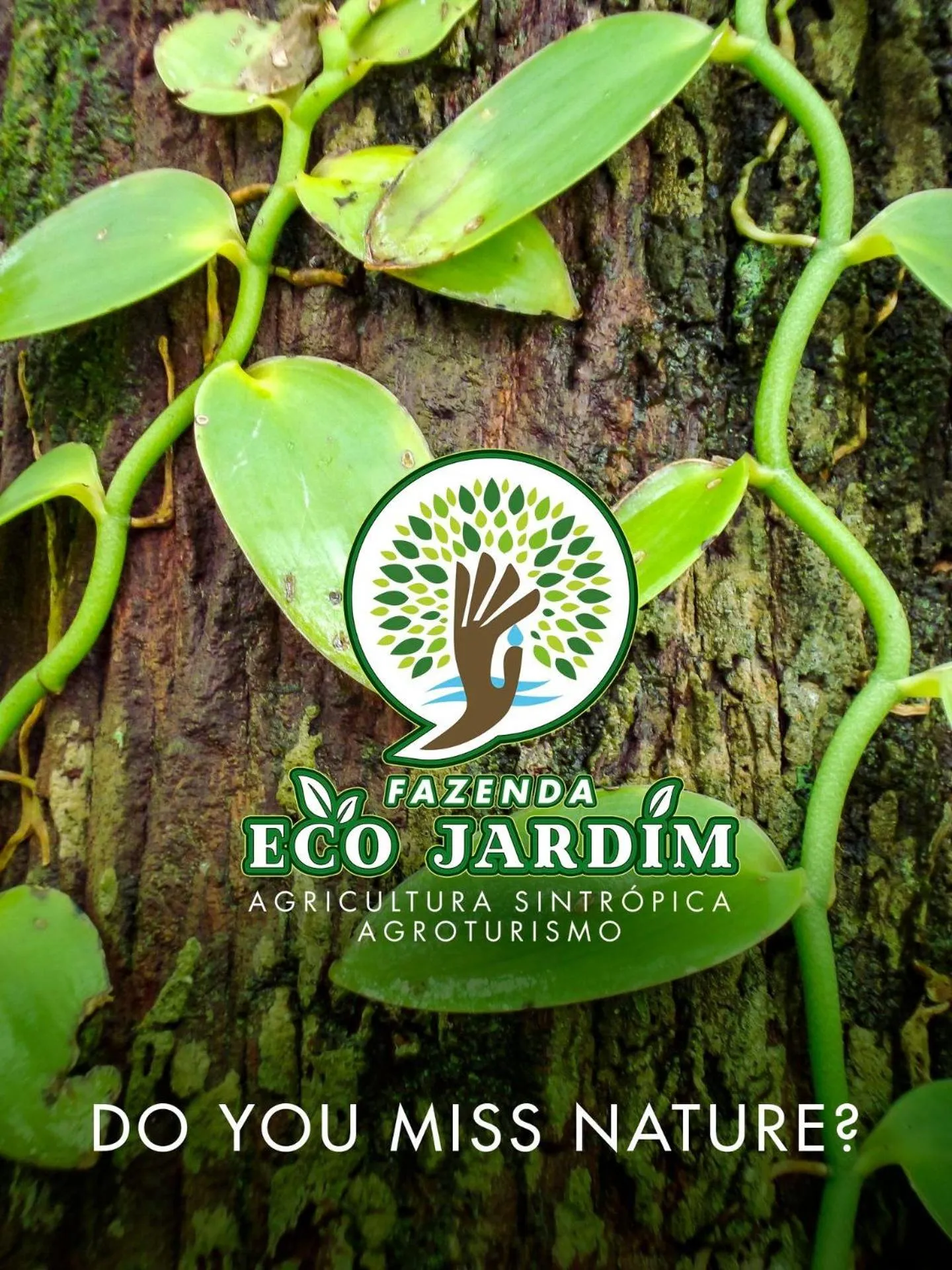 Property building in Fazenda Eco-Jardim