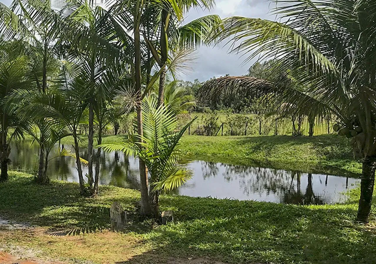 Natural landscape in Fazenda Eco-Jardim