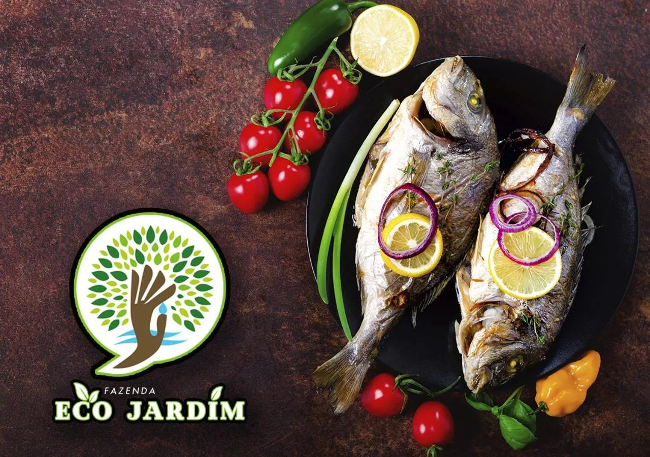 Food and drinks in Fazenda Eco-Jardim