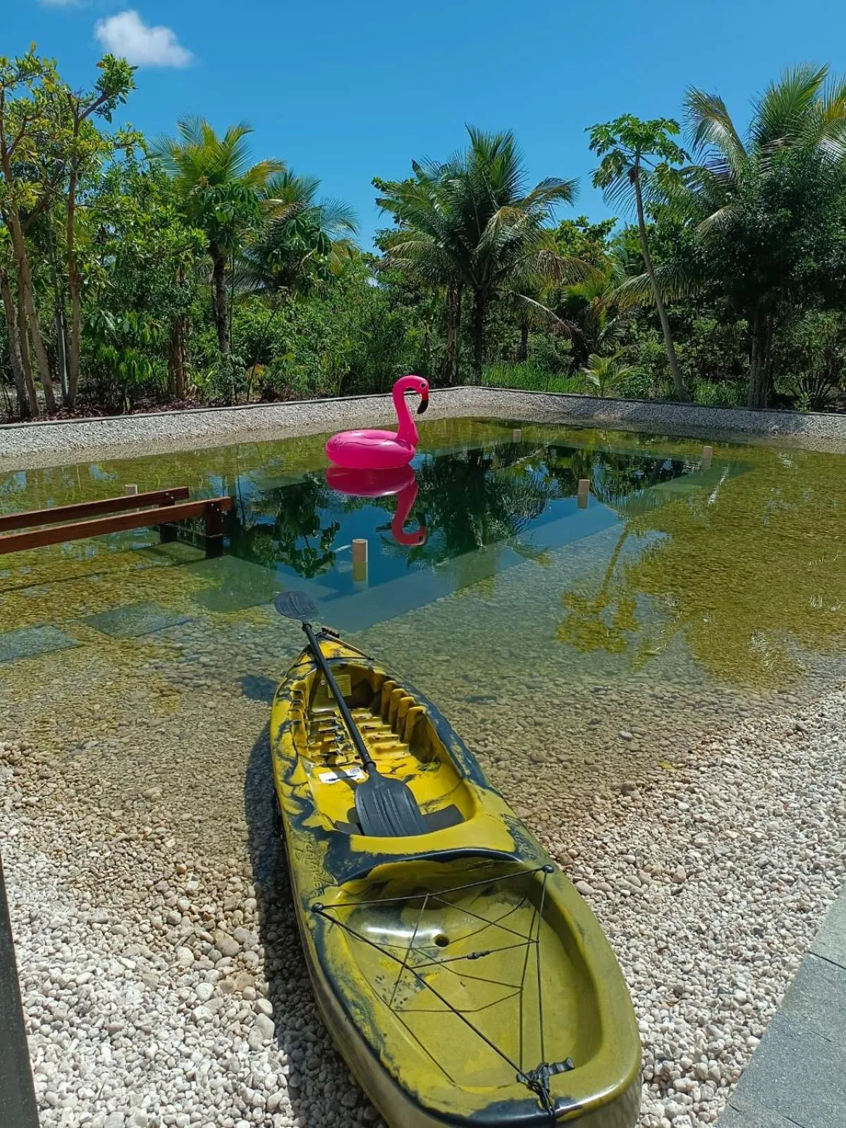 Swimming pool in Fazenda Eco-Jardim