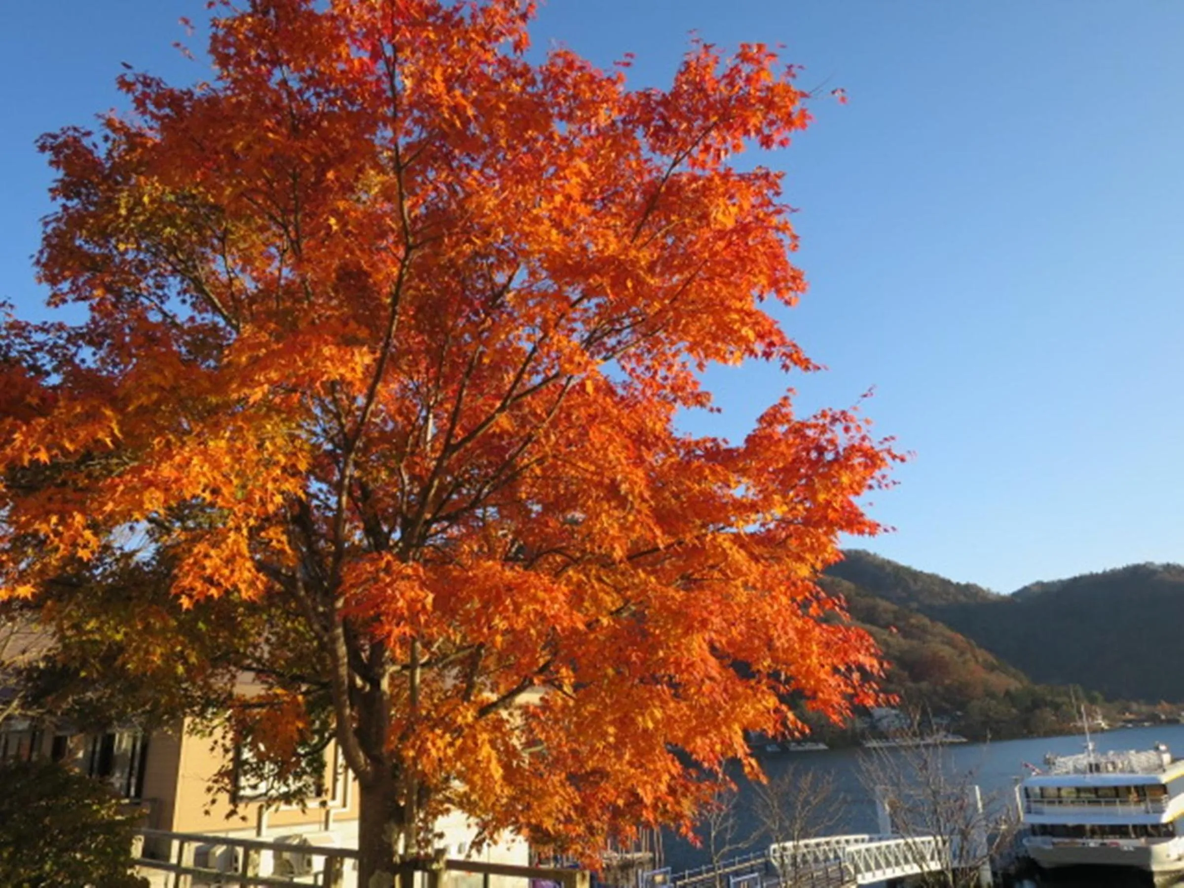 Natural landscape in Nikko Sansui