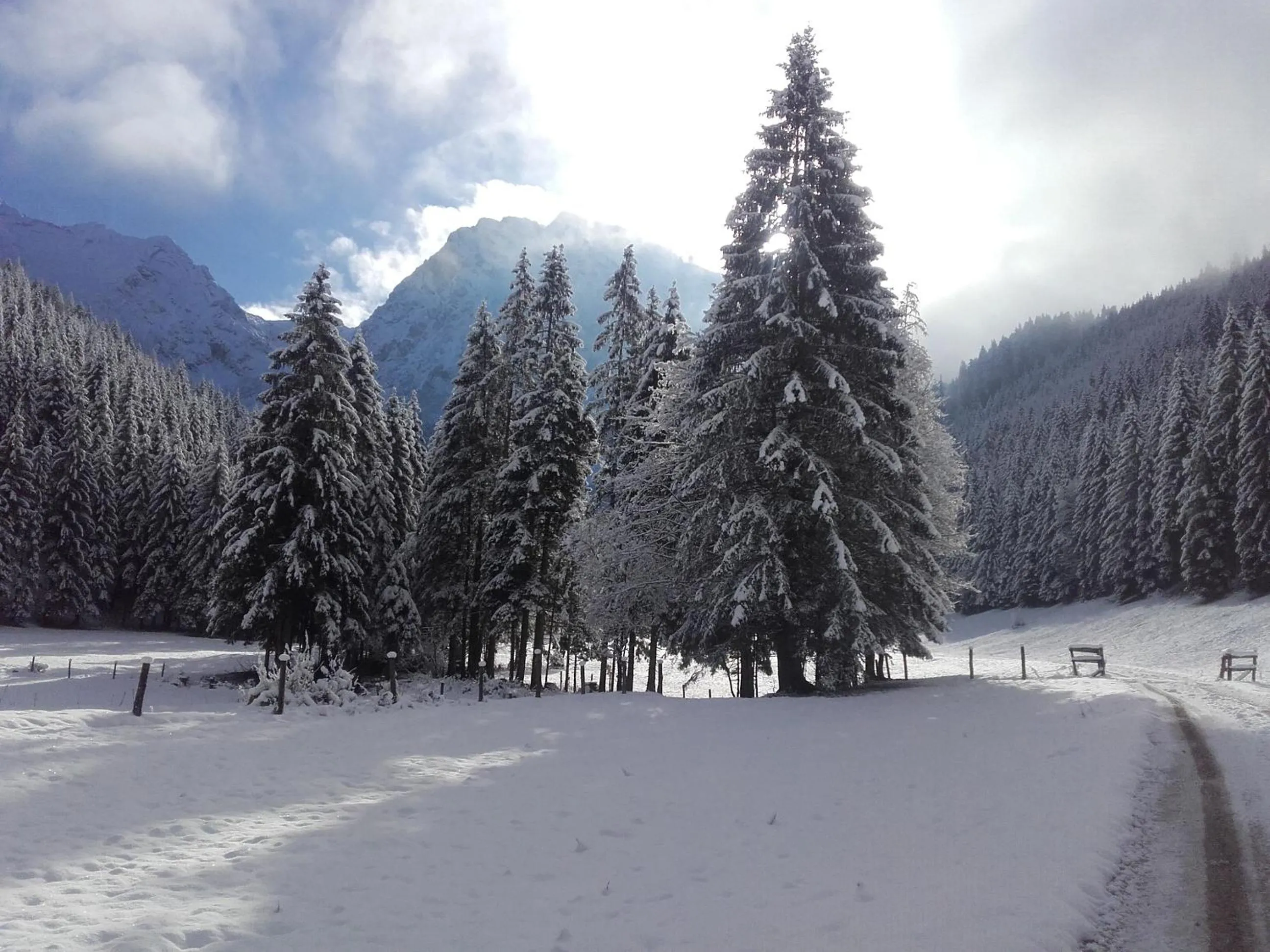 Natural landscape in Landhotel Oberwengerhof