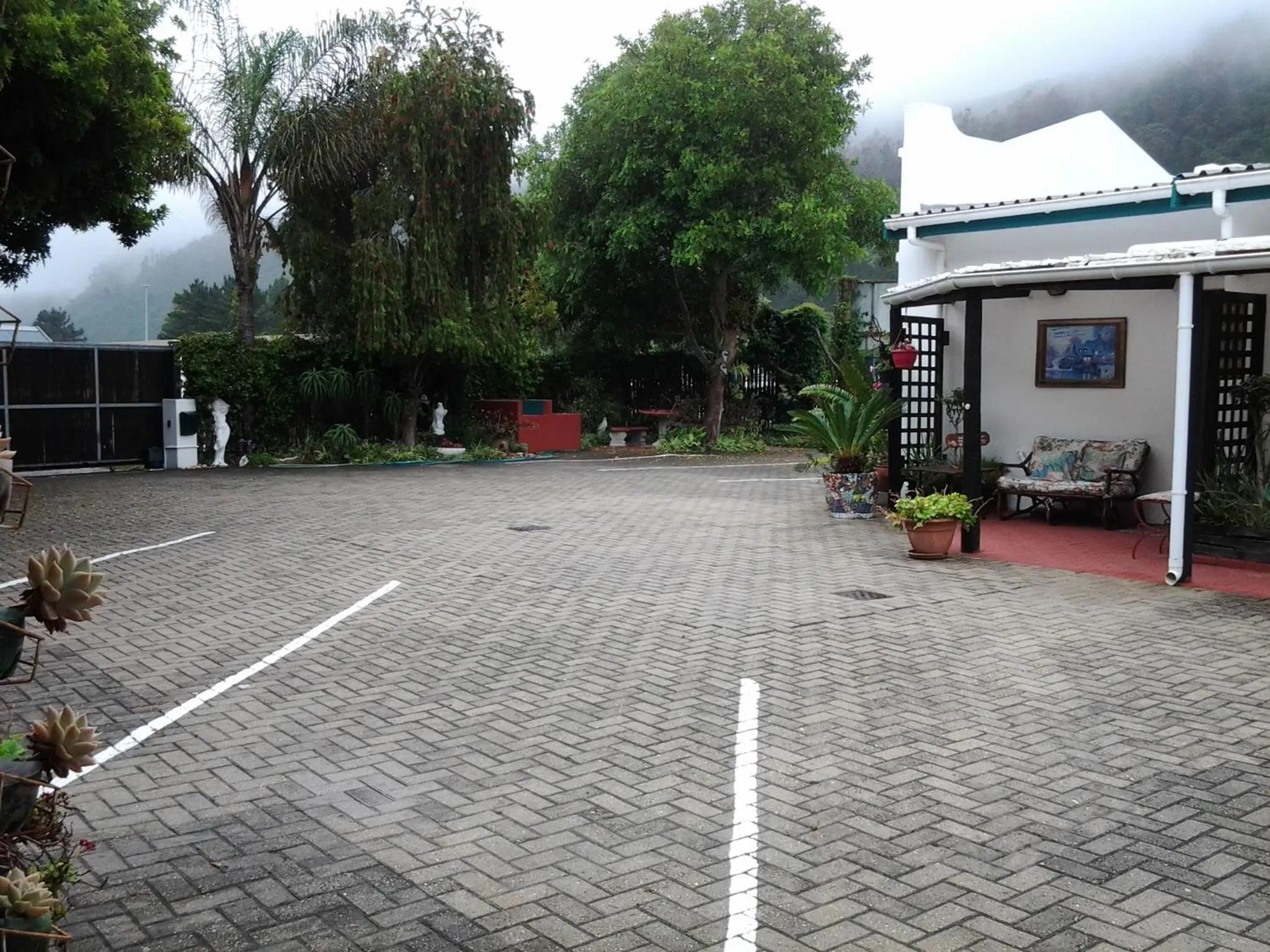 Activities in Forestview guesthouse and B&B