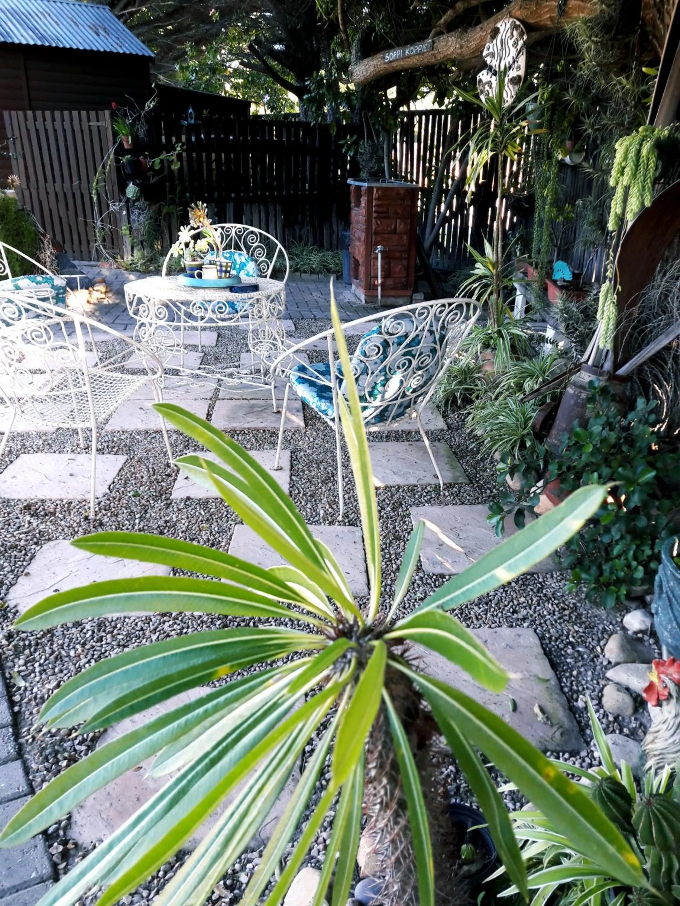 BBQ facilities in Forestview guesthouse and B&B