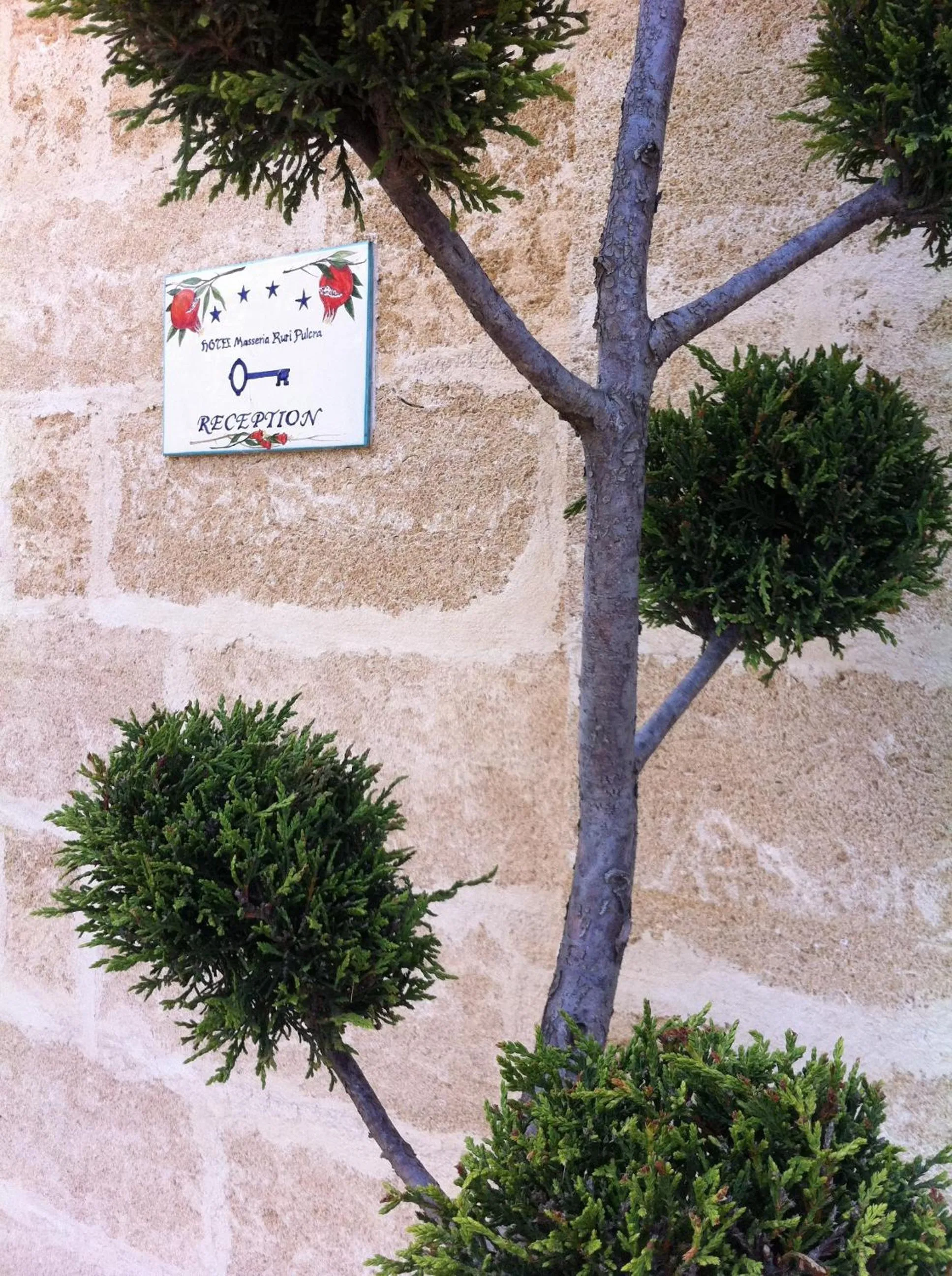 Other in Masseria Ruri Pulcra