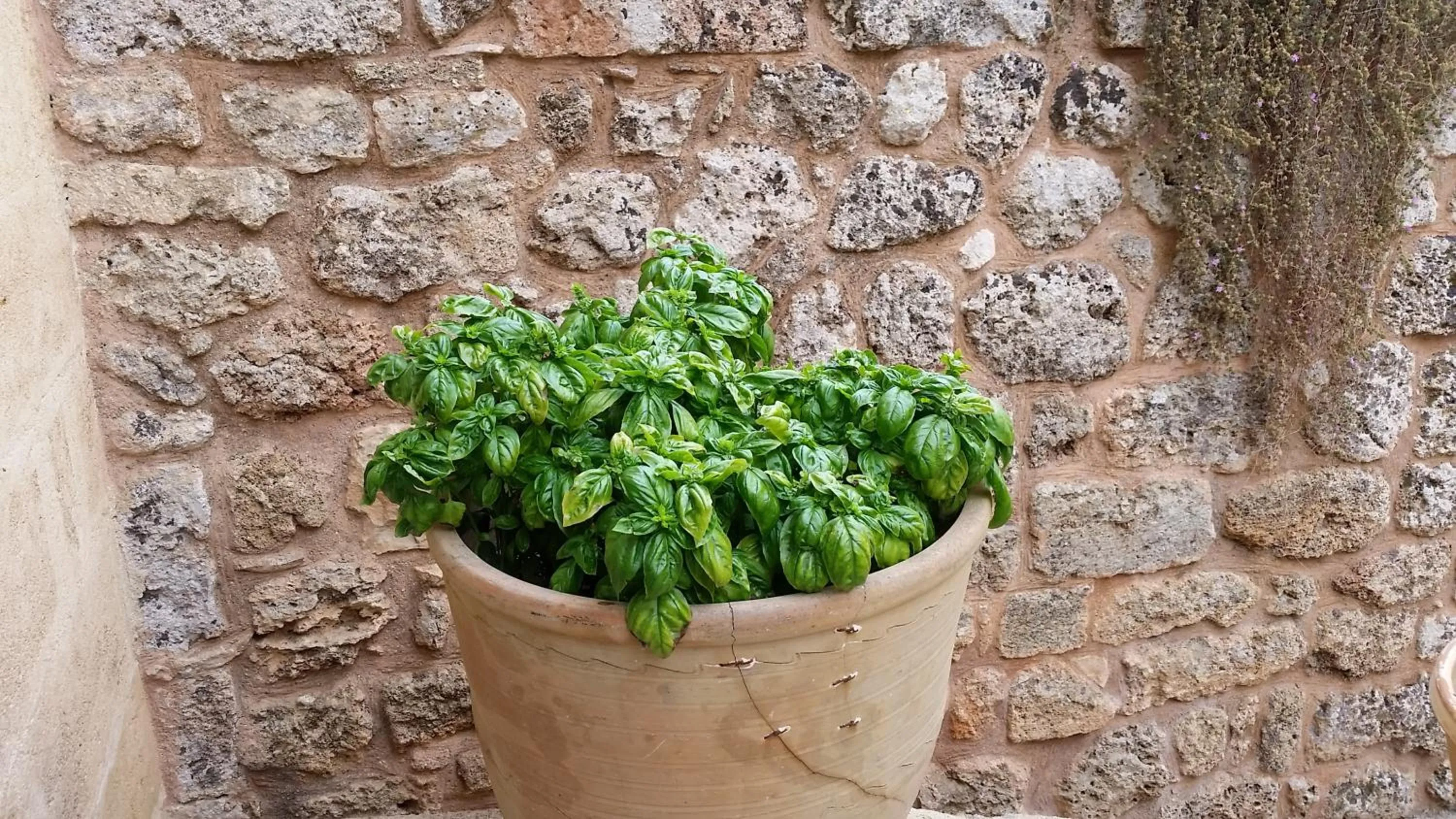 Other in Masseria Ruri Pulcra