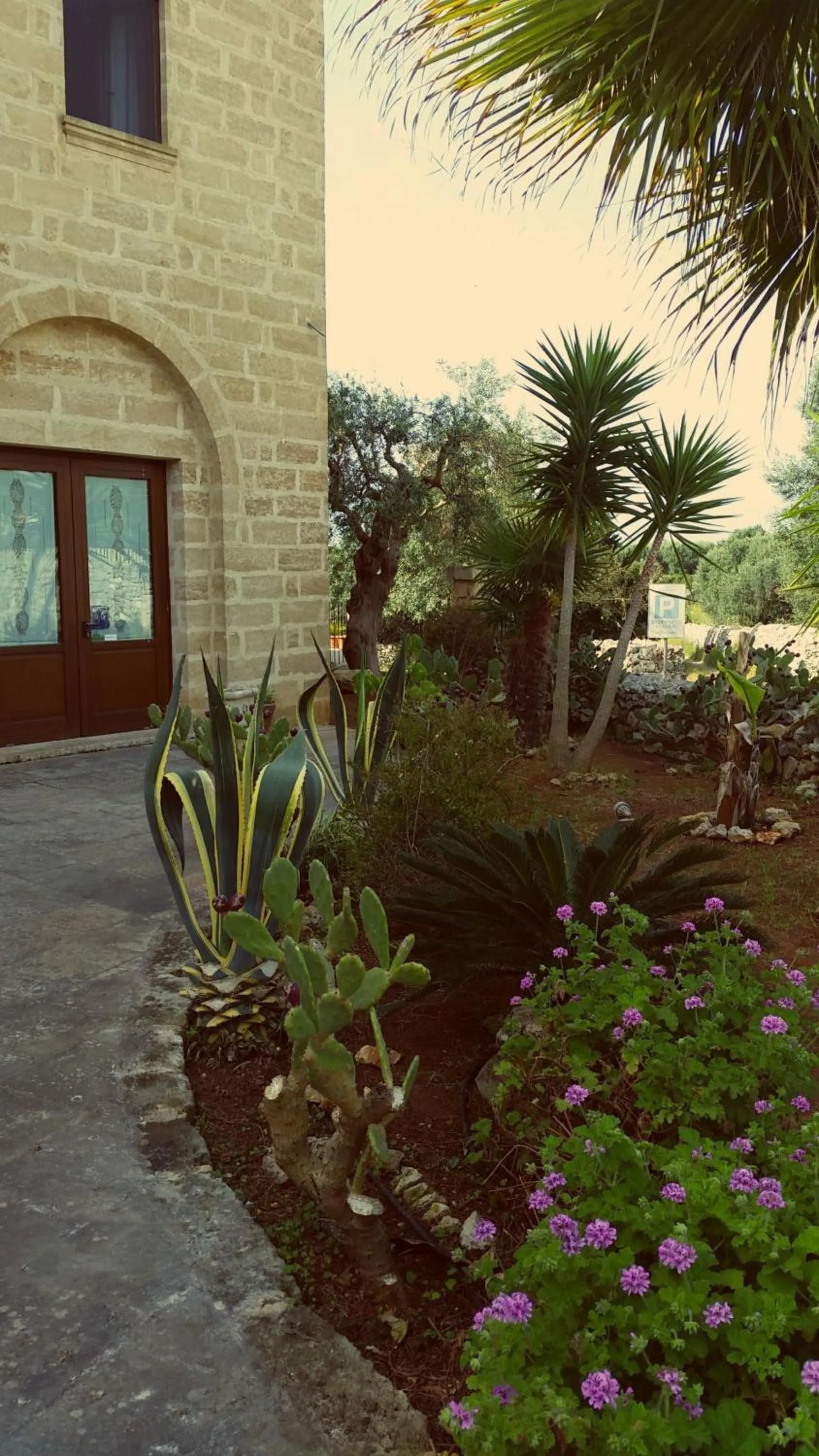 Day in Masseria Ruri Pulcra