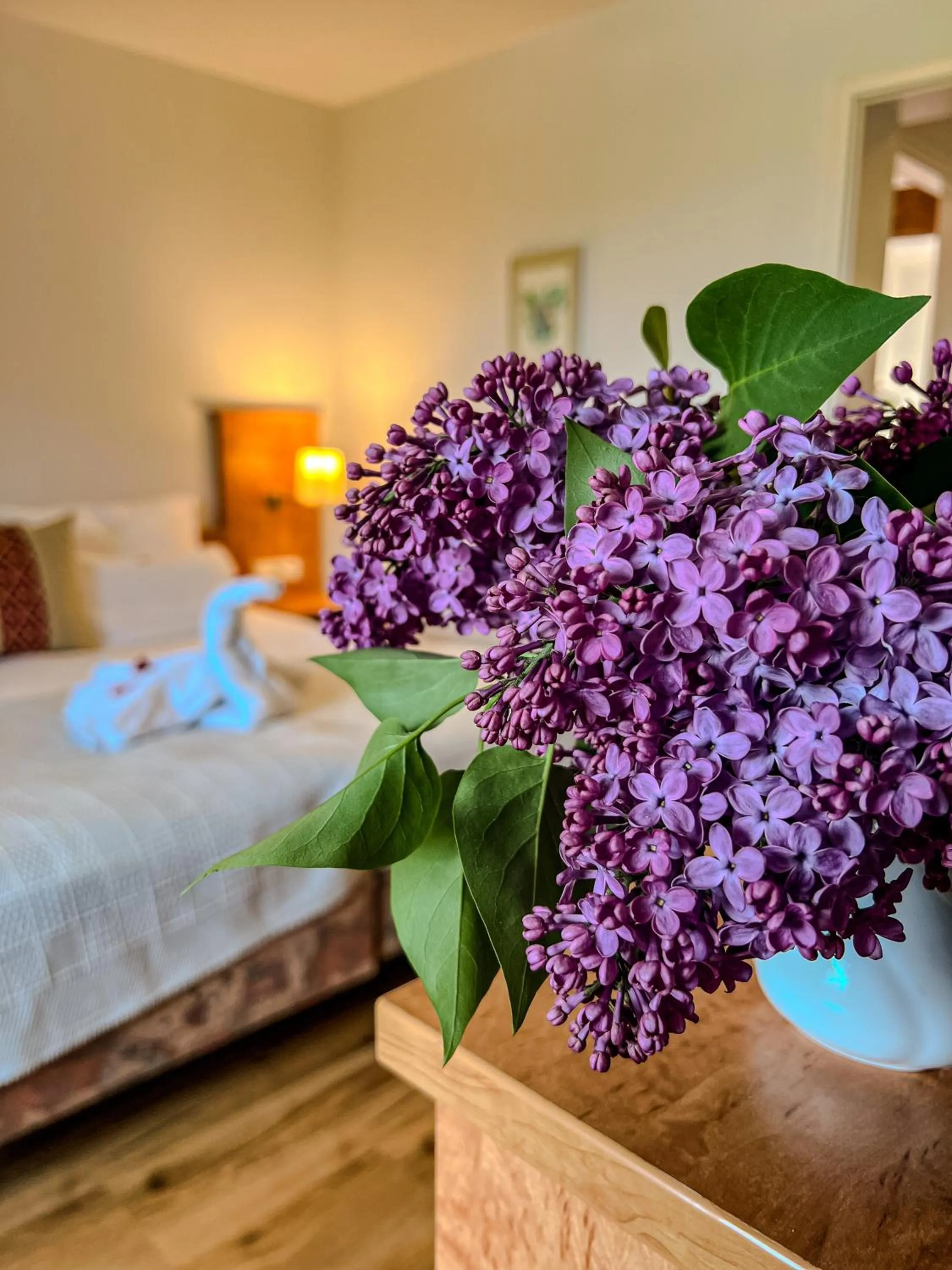 Bedroom, Bed in Insel-Hof Reichenau Hotel-garni