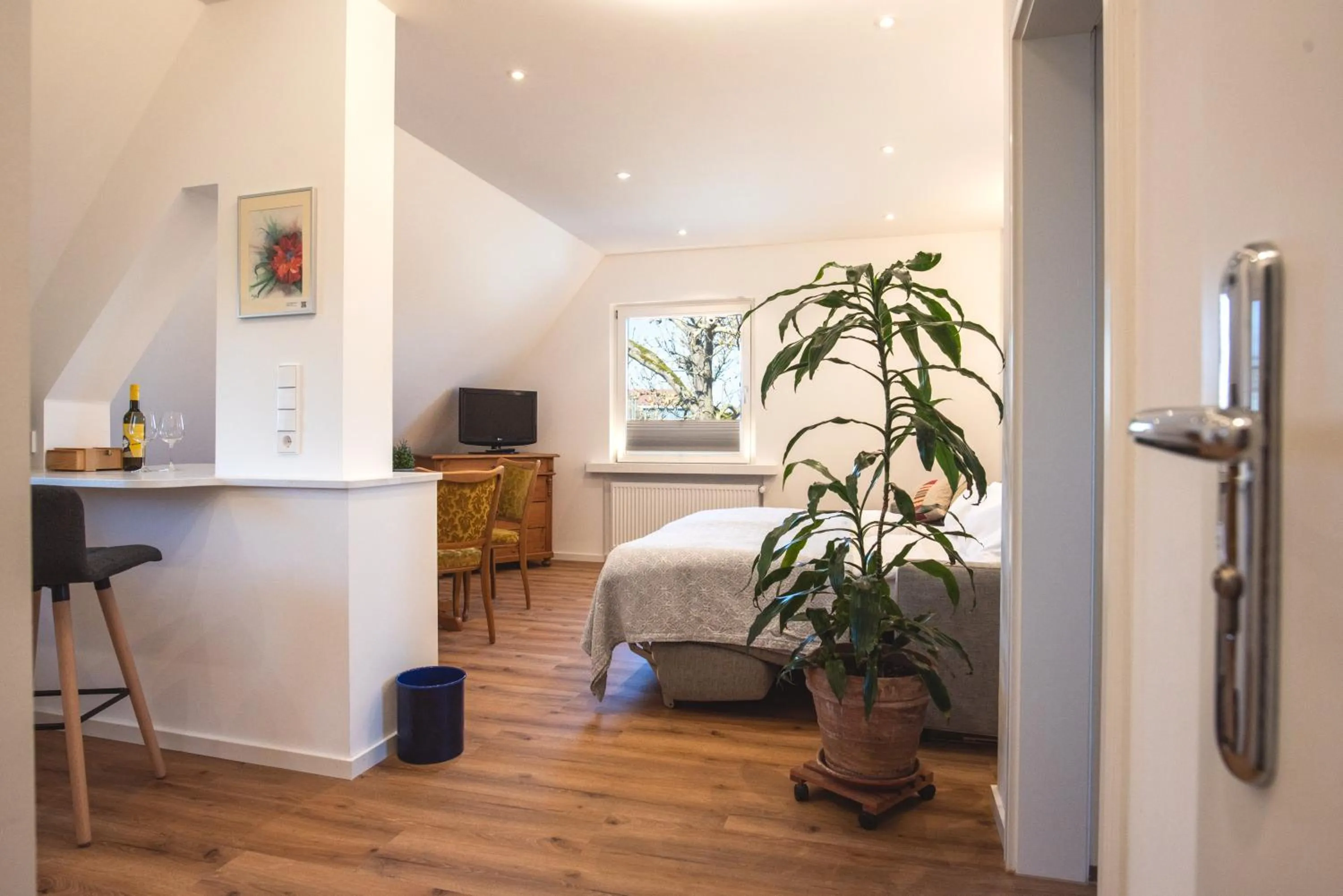 TV and multimedia, Bed in Insel-Hof Reichenau Hotel-garni