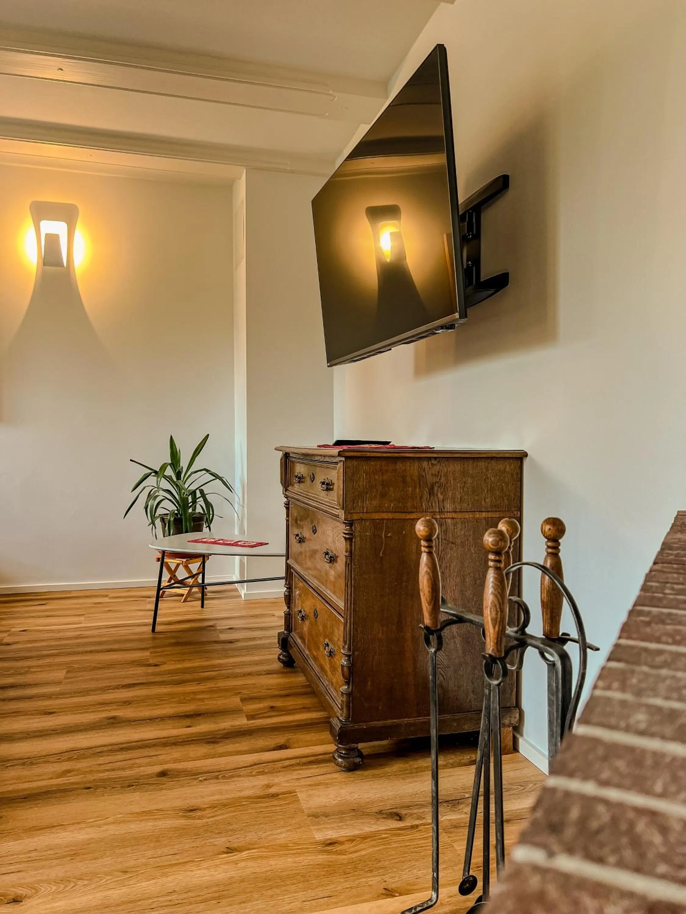 TV and multimedia in Insel-Hof Reichenau Hotel-garni