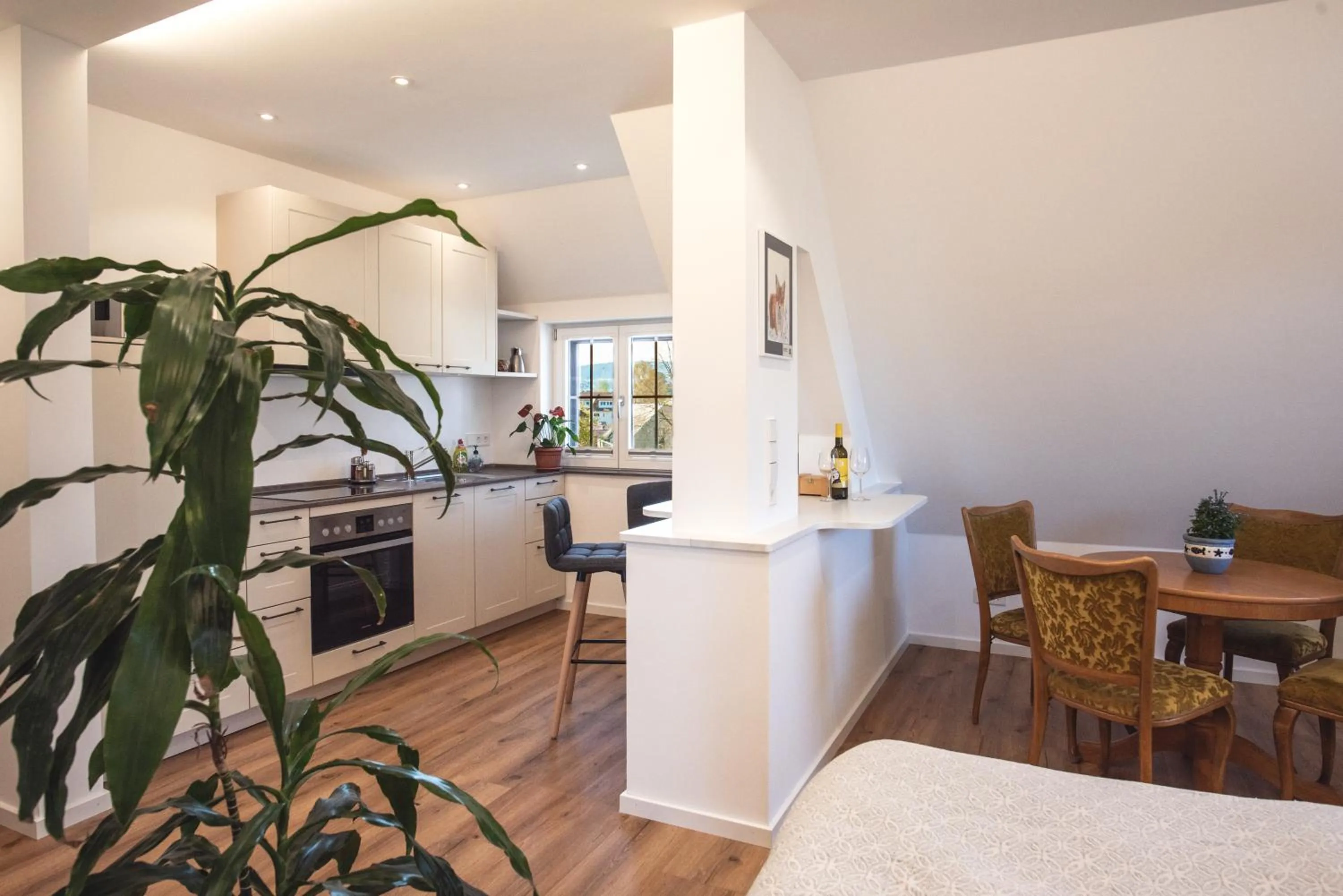 Kitchen or kitchenette in Insel-Hof Reichenau Hotel-garni