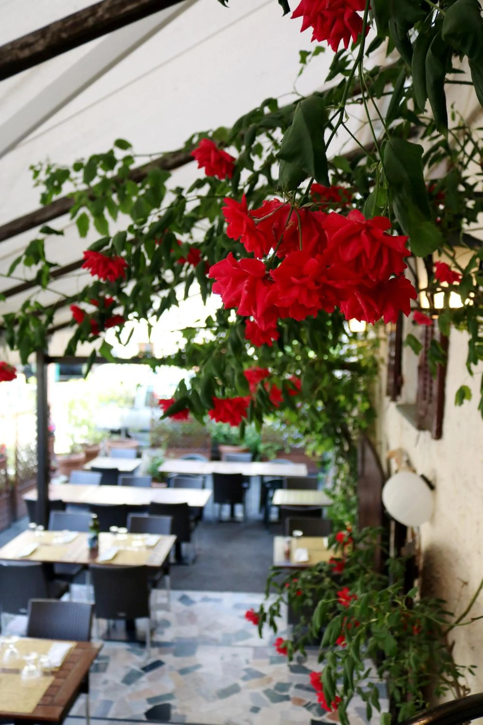 Auberge Saint Martin