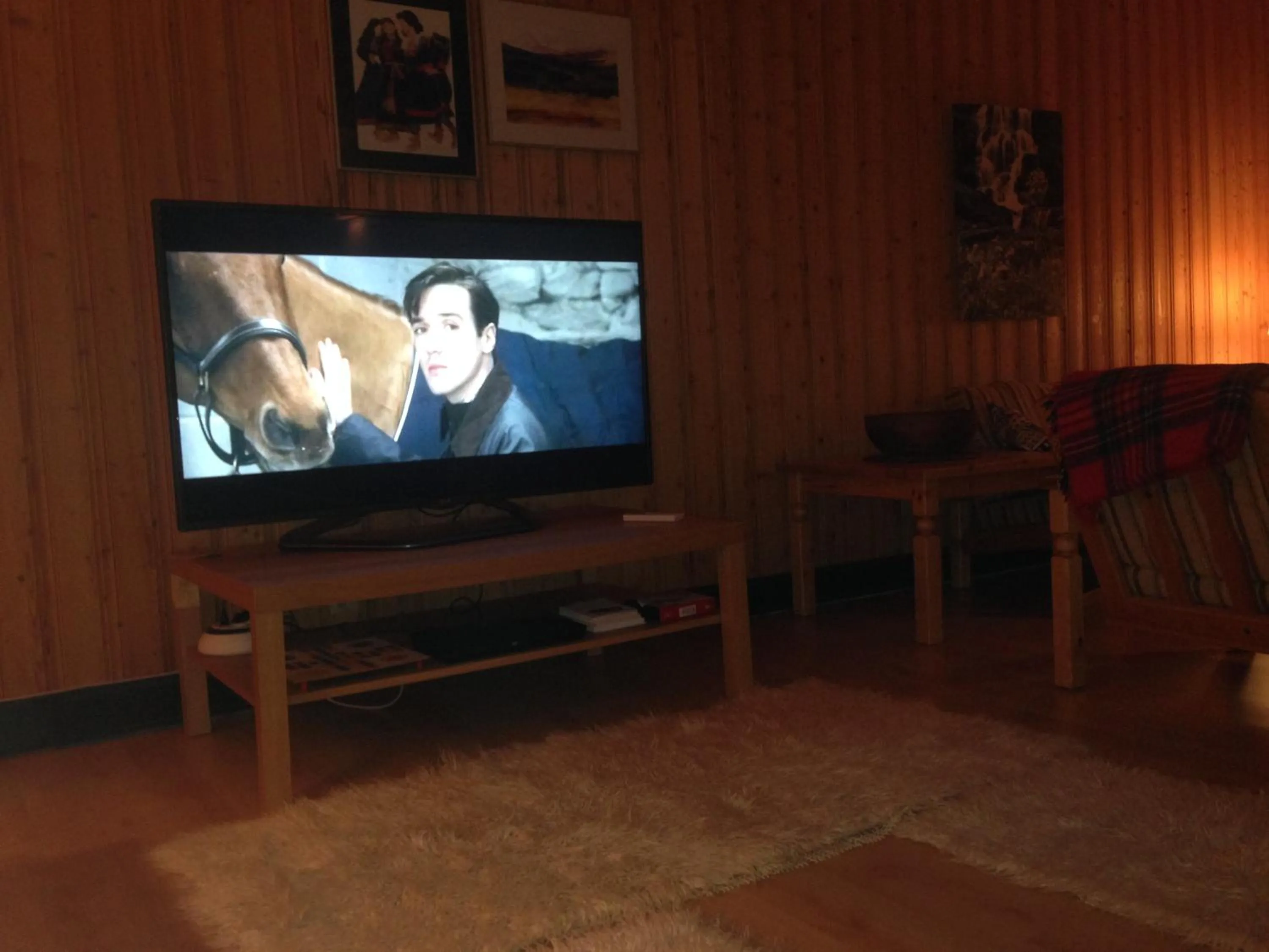 Communal lounge/ TV room in Stora Björnstugan