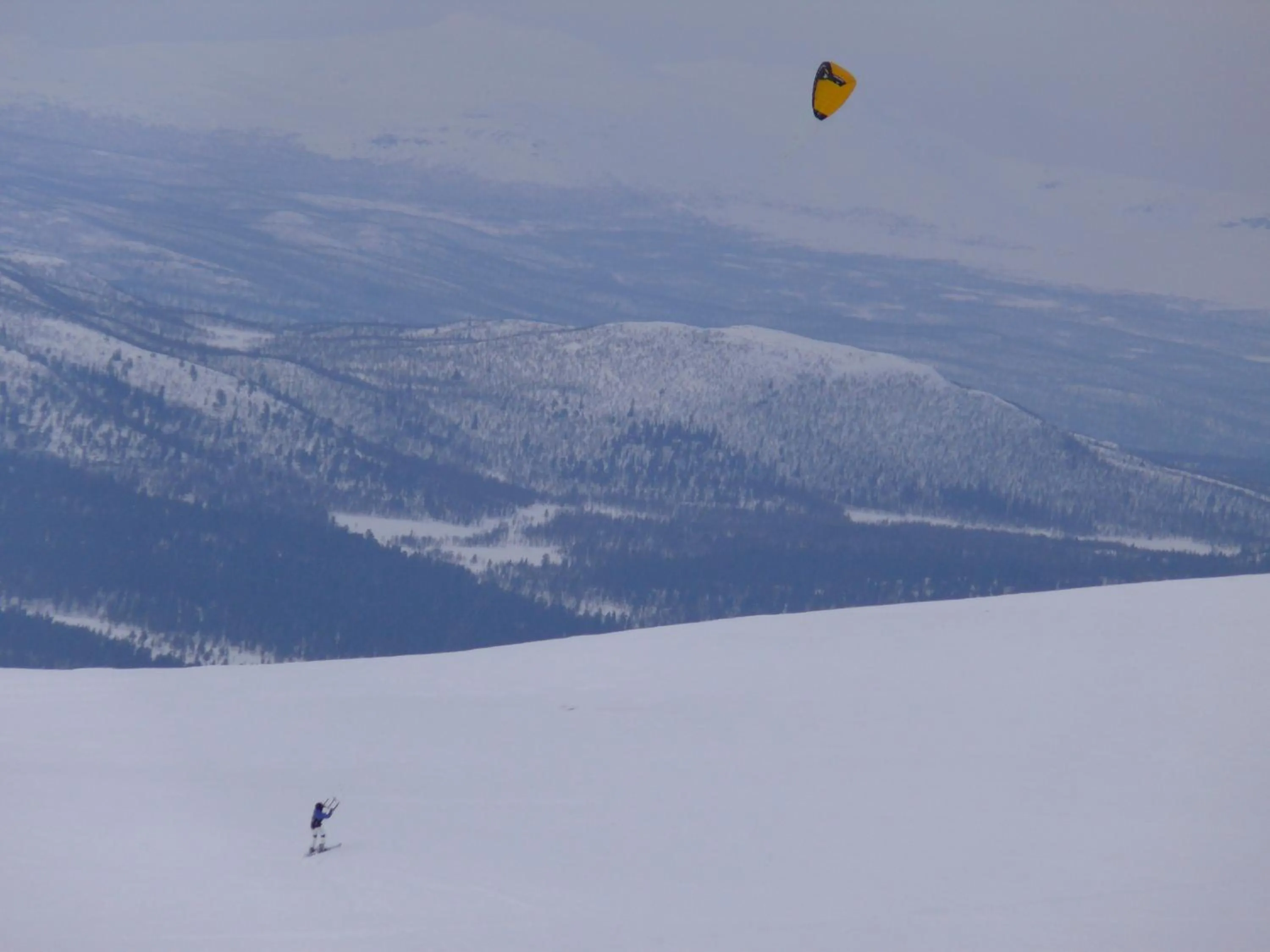 Skiing in Stora Björnstugan